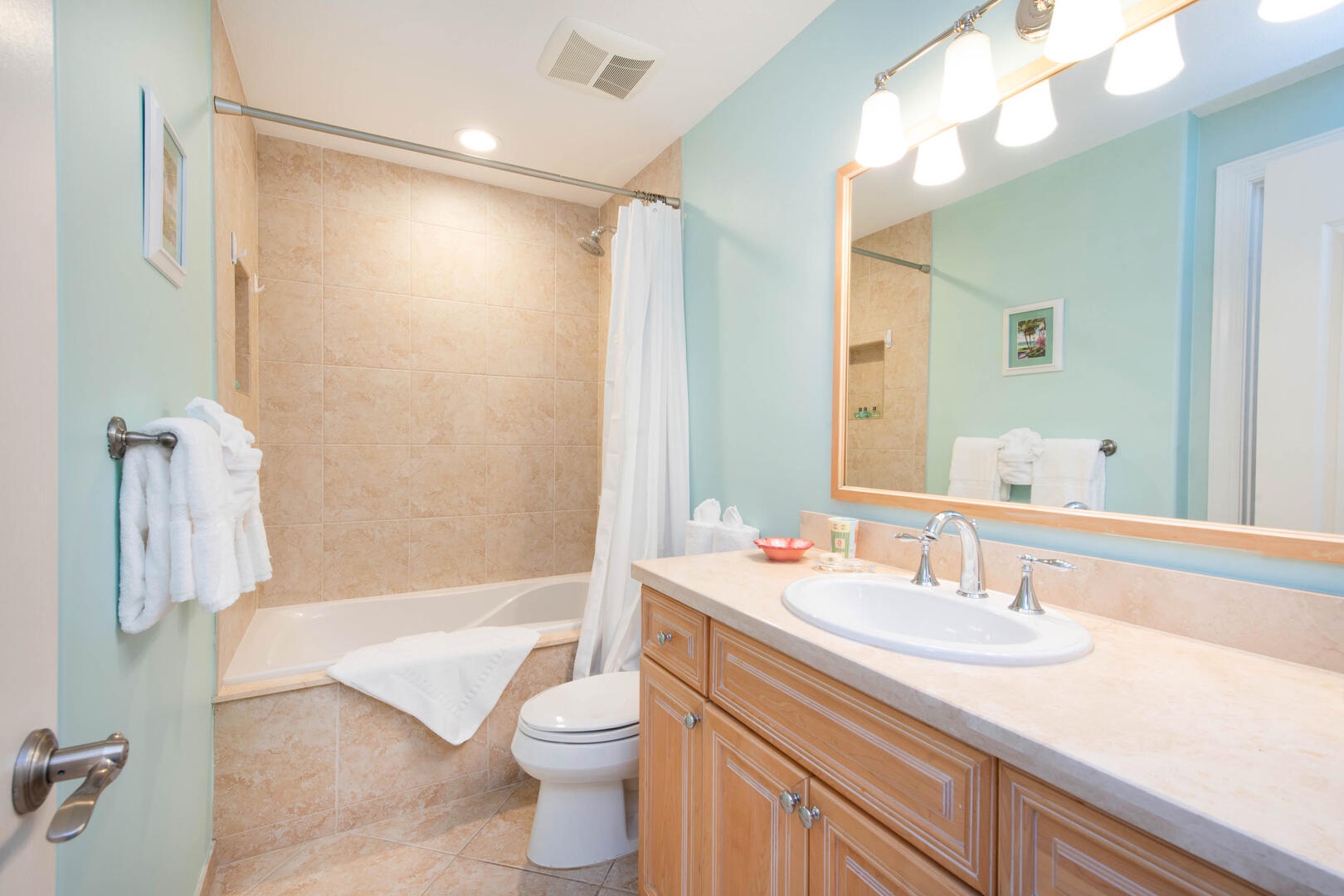 Guest Ensuite #1 with shower bath.