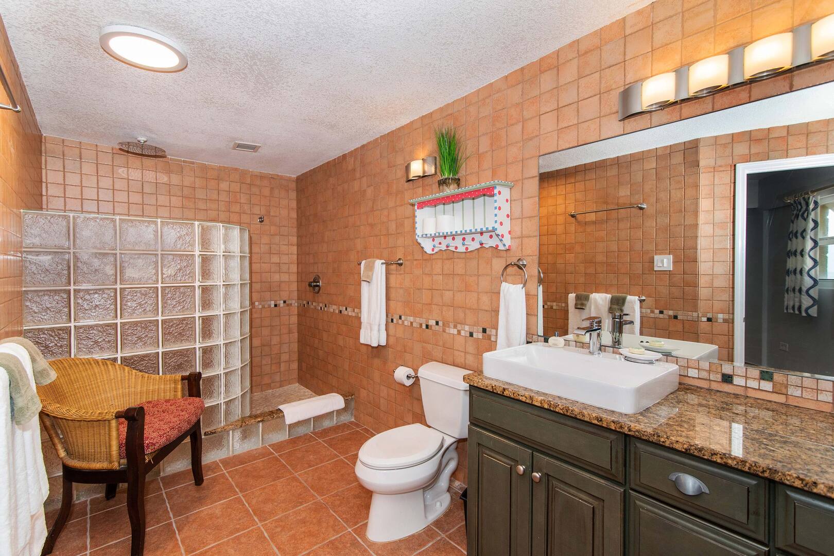 Family suite bathroom with shower.