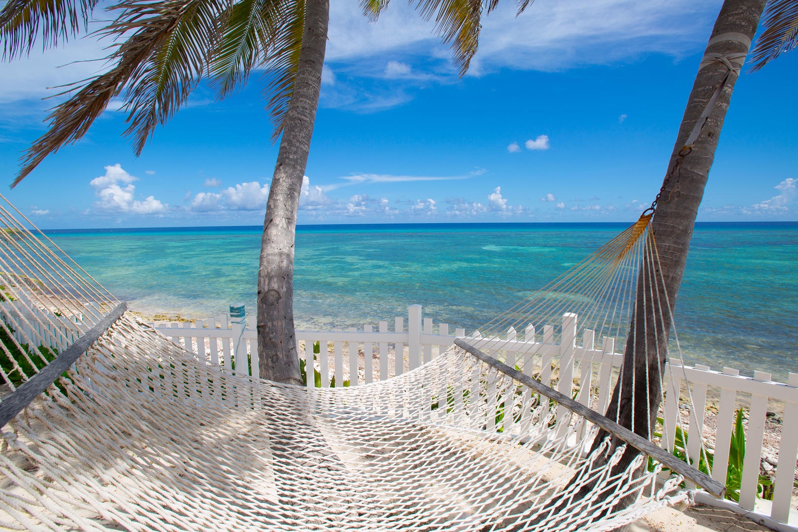 Relax in the hammock under the trees. Perfect for an afternoon catnap.
