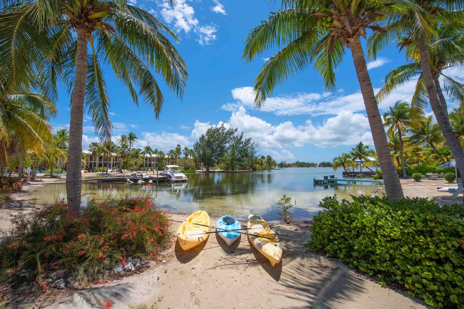 3 free kayaks are provided to explore the glowing waters of Bio Bay.