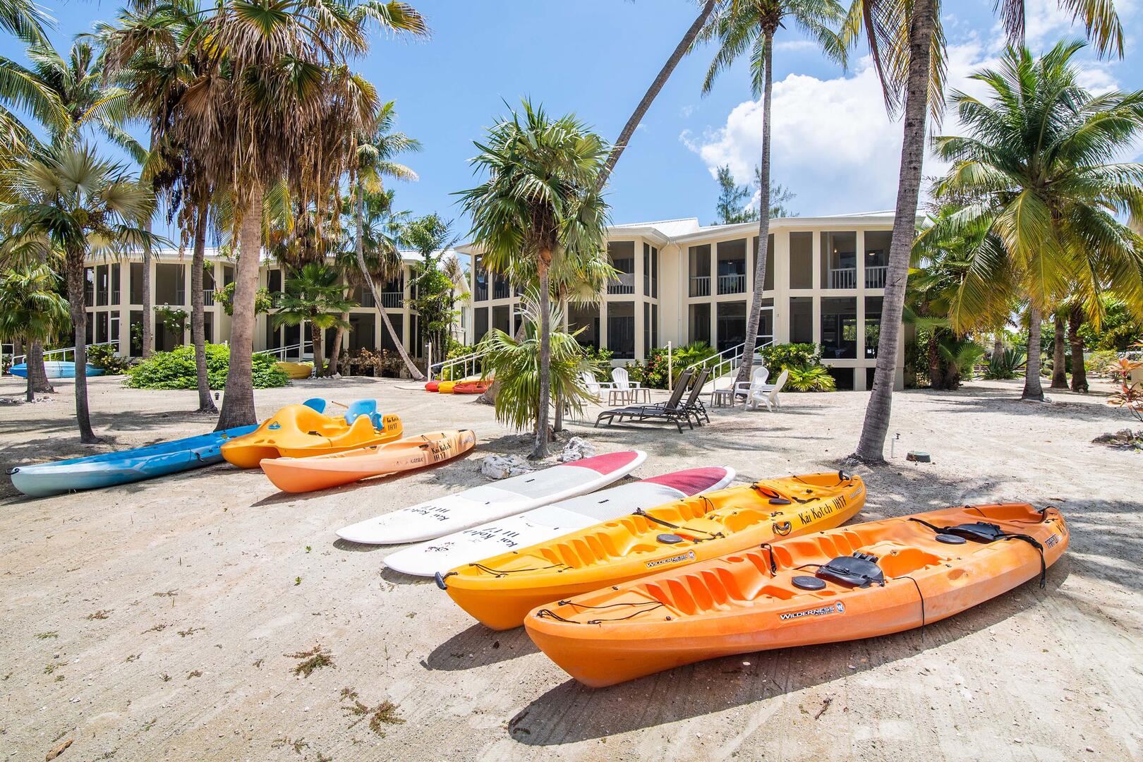Enjoy complimentary kayaks, paddleboards, and a paddle boat to explore the glowing waters of Bio Bay after dark.