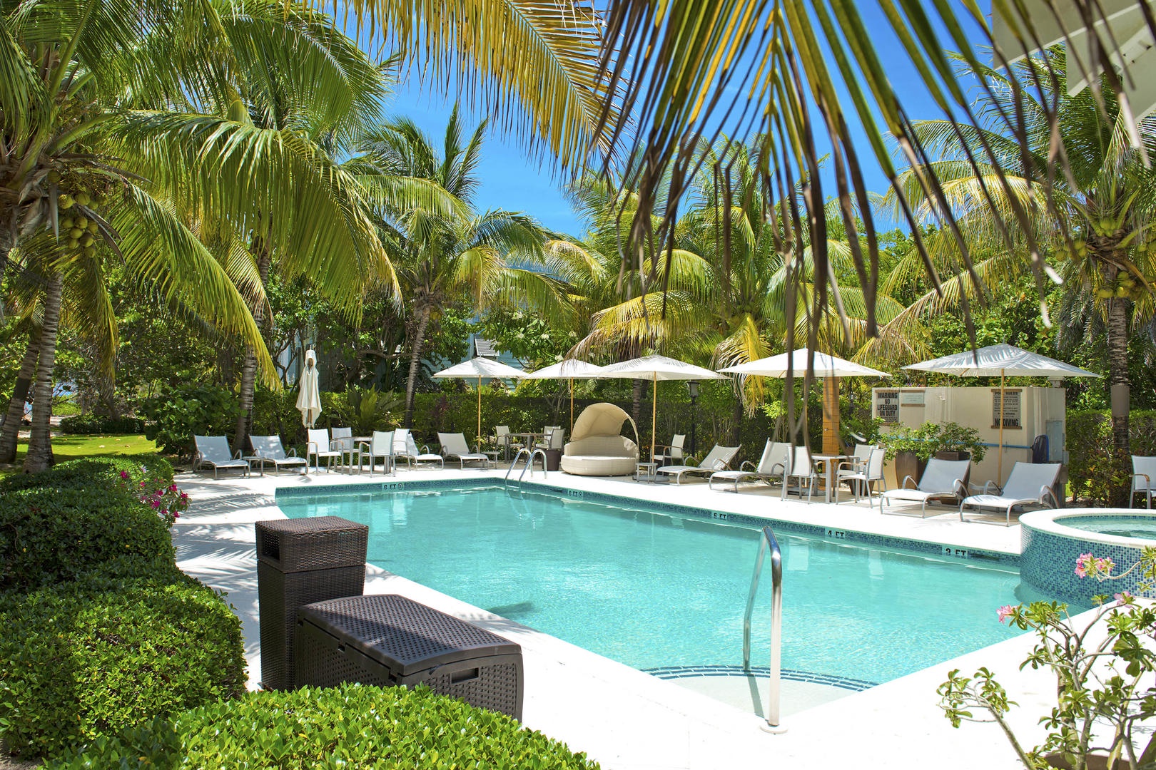Beautiful pool surrounded by lush greenery.