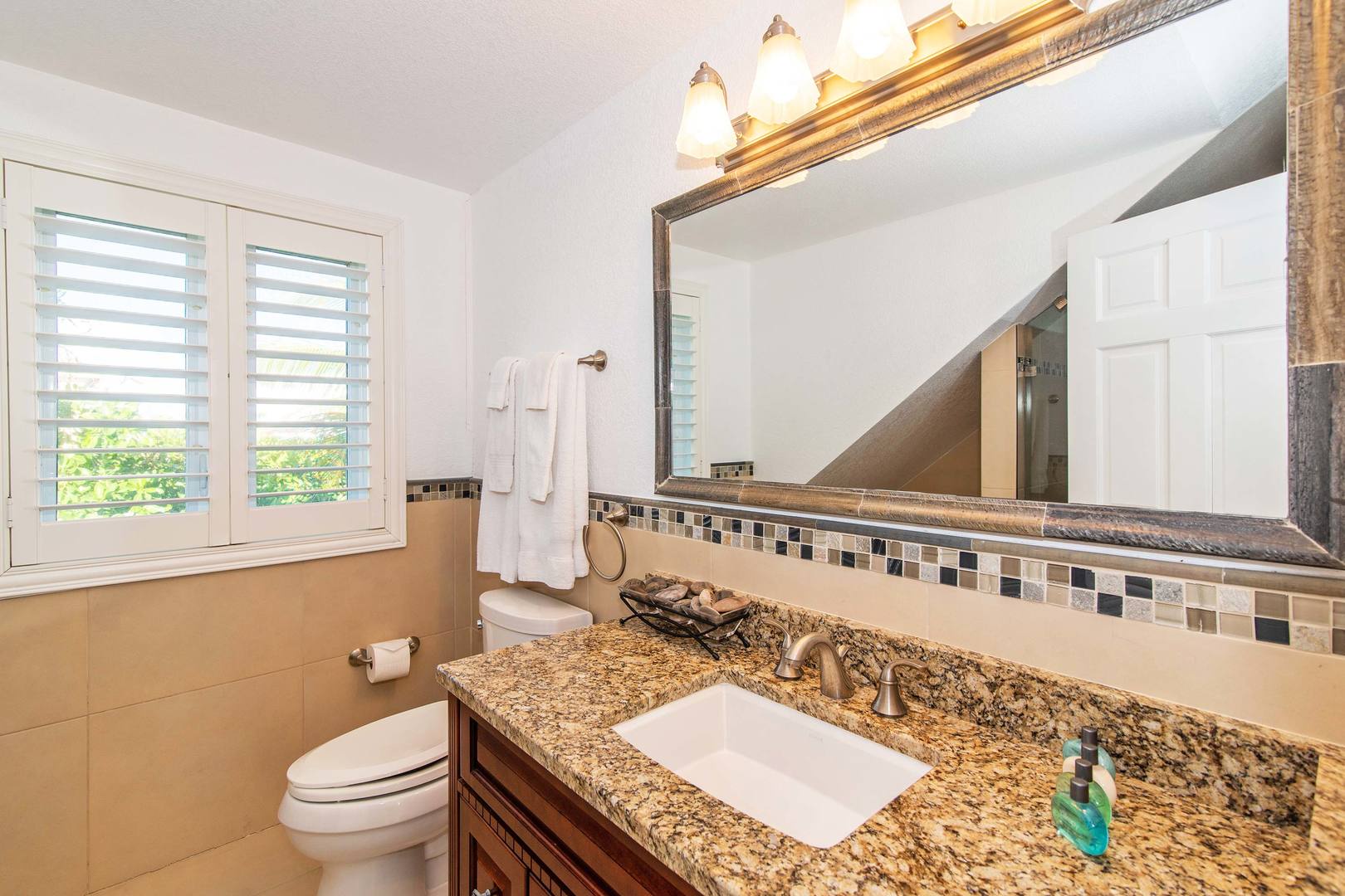 Guest Suite bathroom with walk-in shower.