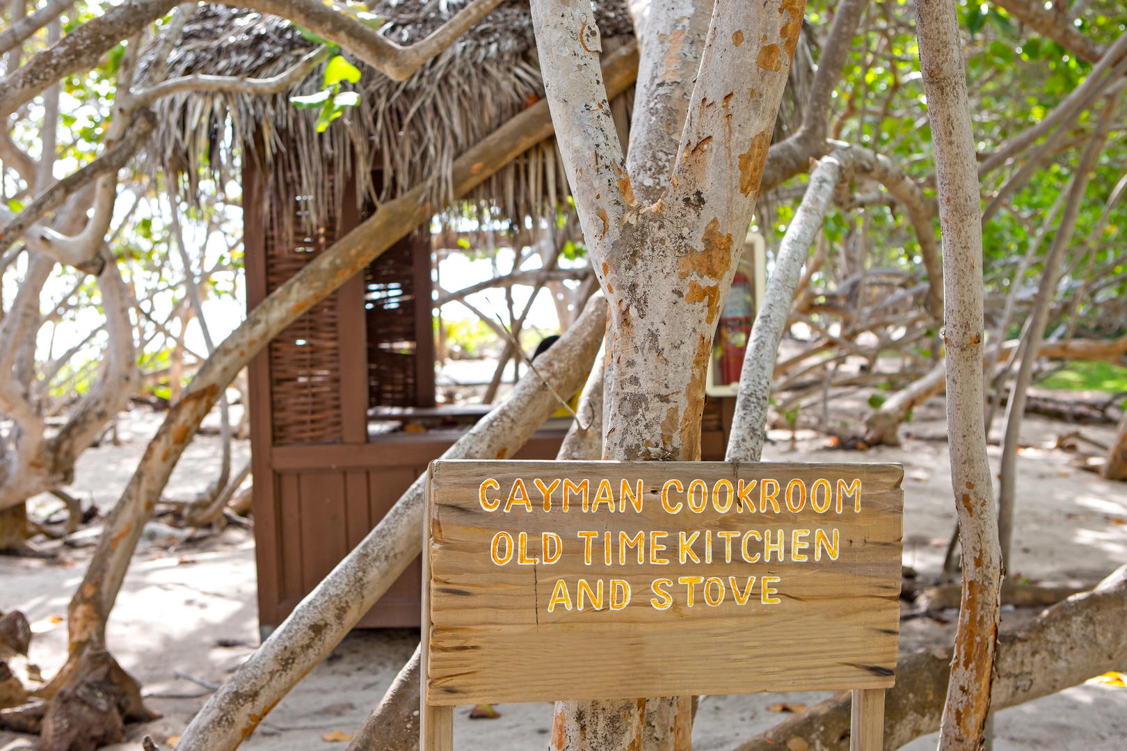 Chefs for private hire can cook beachside!