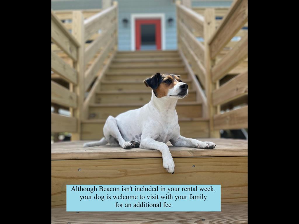 Bring your best friend along! This pet-friendly rental welcomes your dog to relax with you during your stay for an additional fee.