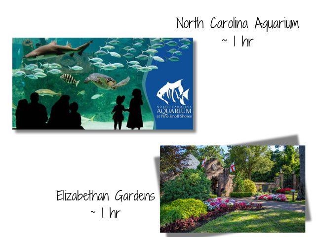 Step into an underwater world where hundreds of silvery fish swirl around you, sea turtles glide gracefully overhead, and sharks patrol the depths—you'll feel like you're diving without getting wet.
