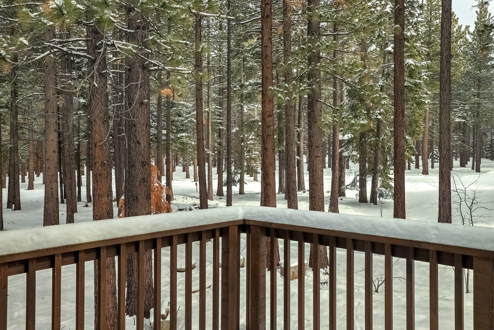 View from  large deck