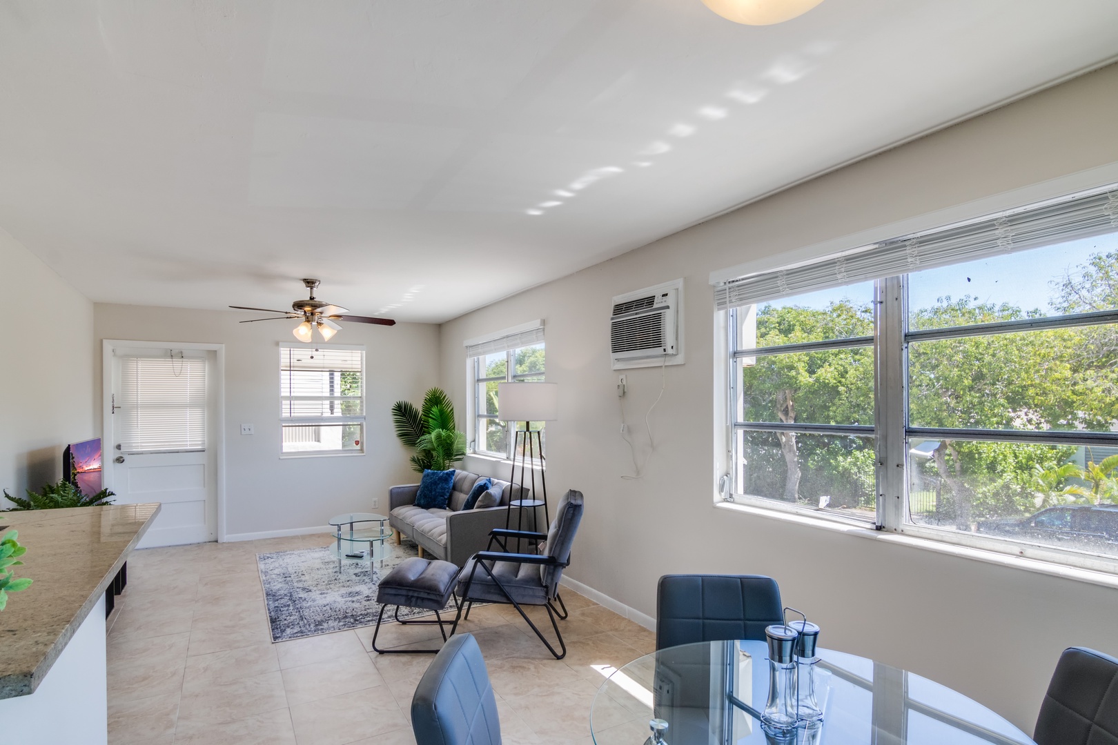 Dining and living area