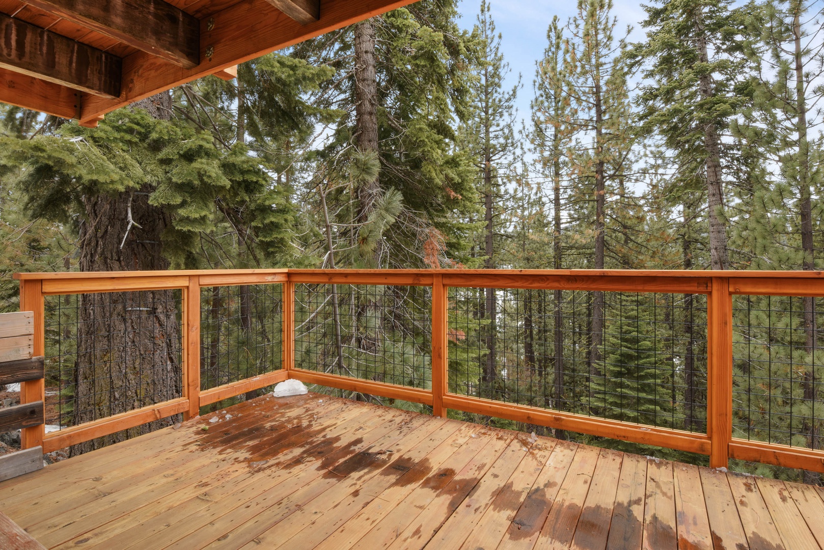 Balcony with forest views