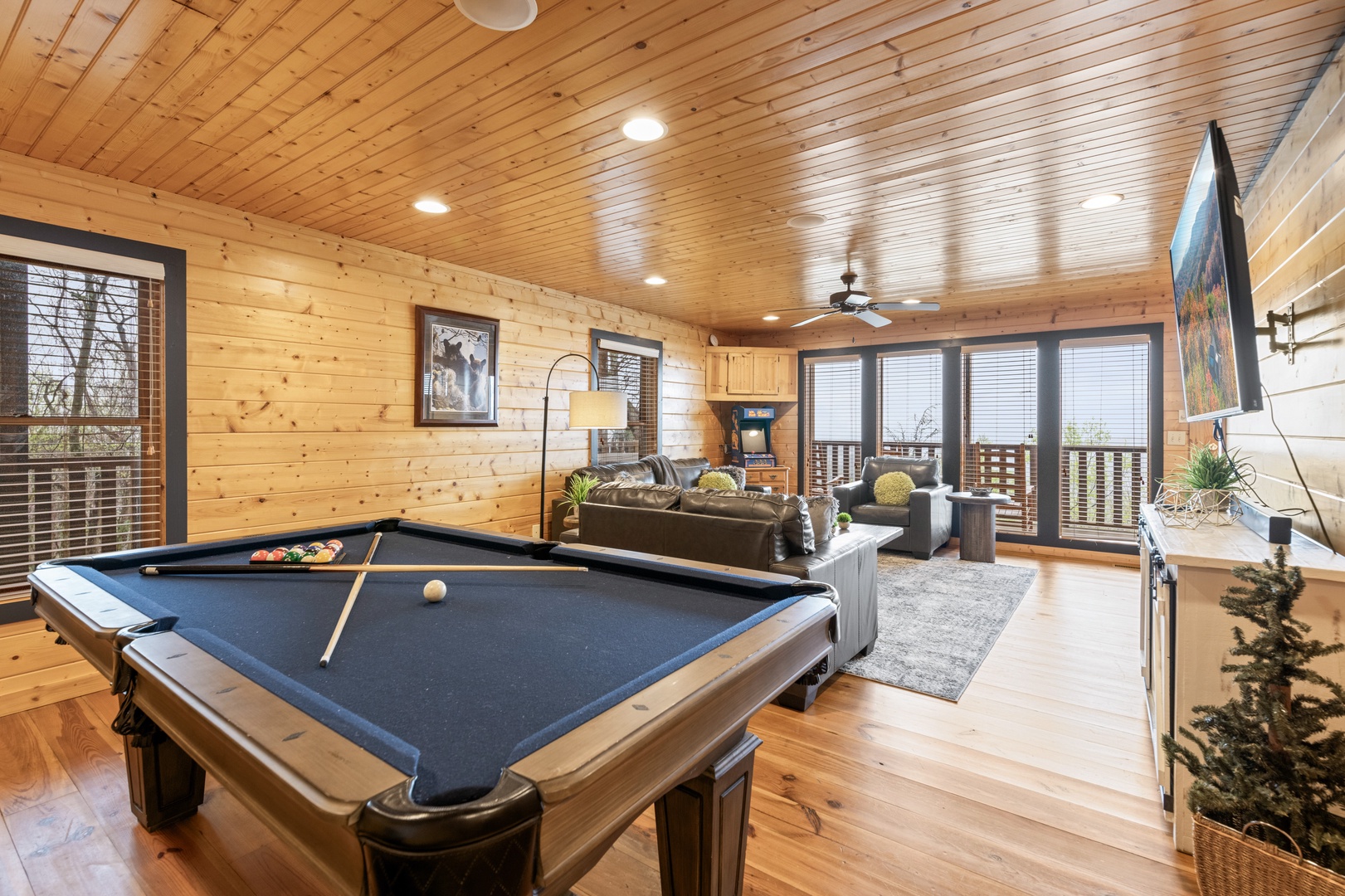 Game room with Pool Table, TV, Arcade