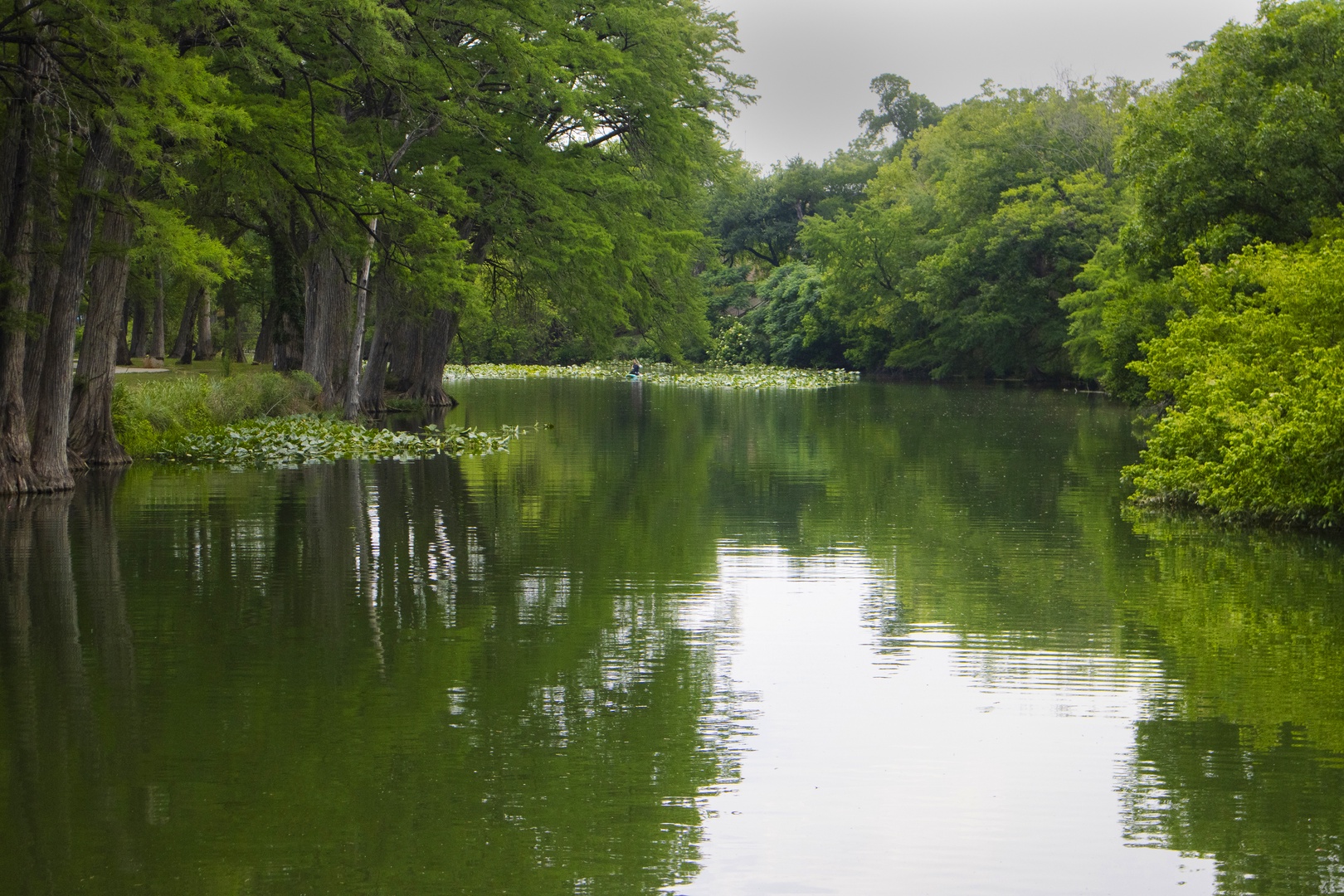 Enjoy being a mere 3-minute walk from the gorgeous Guadalupe River!