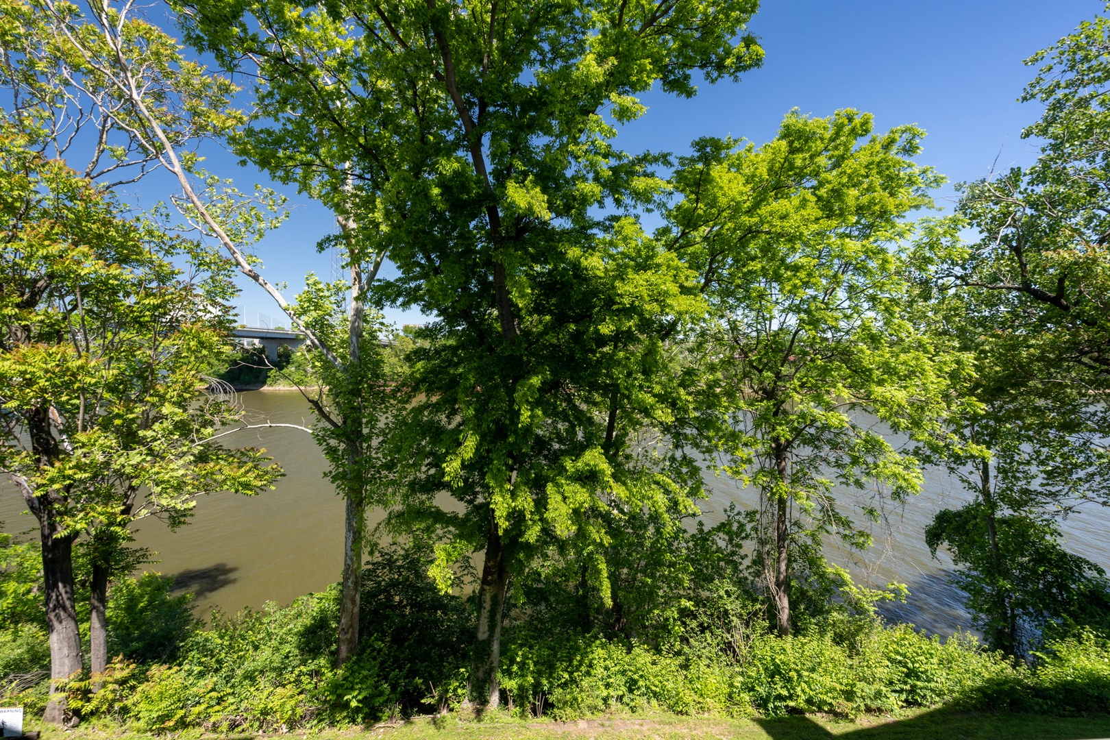 View of Cumberland River