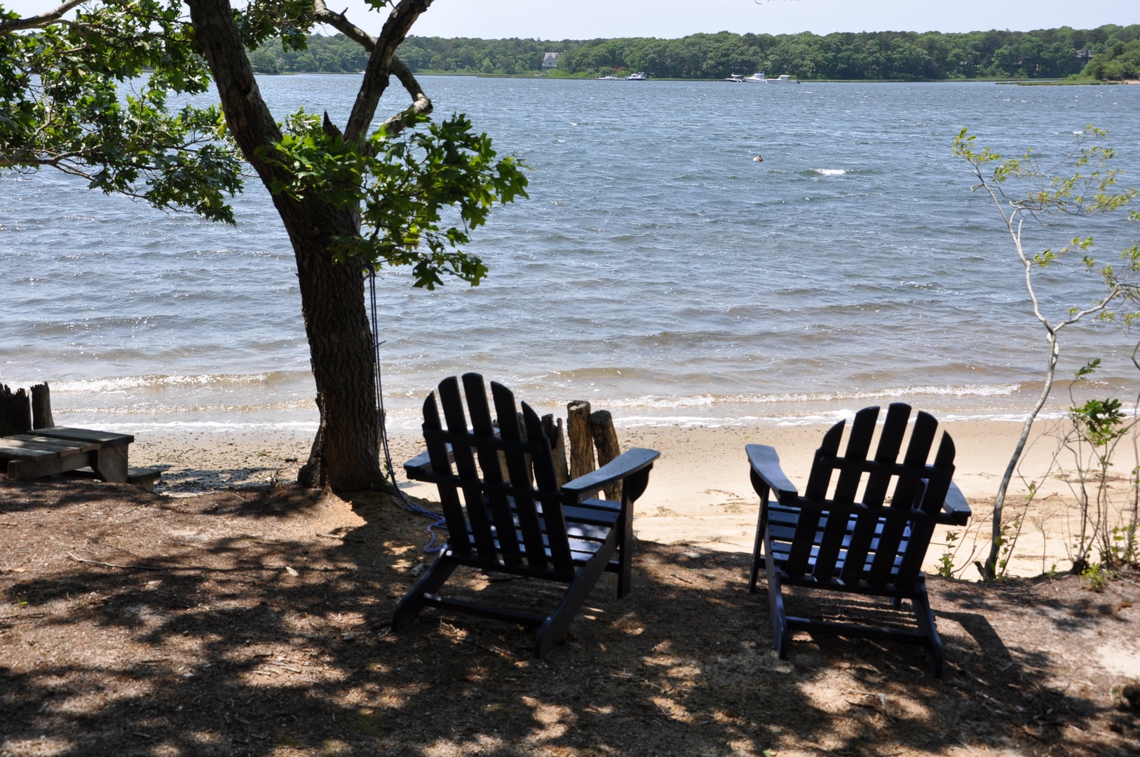 Lounge Chairs Facing the Beach