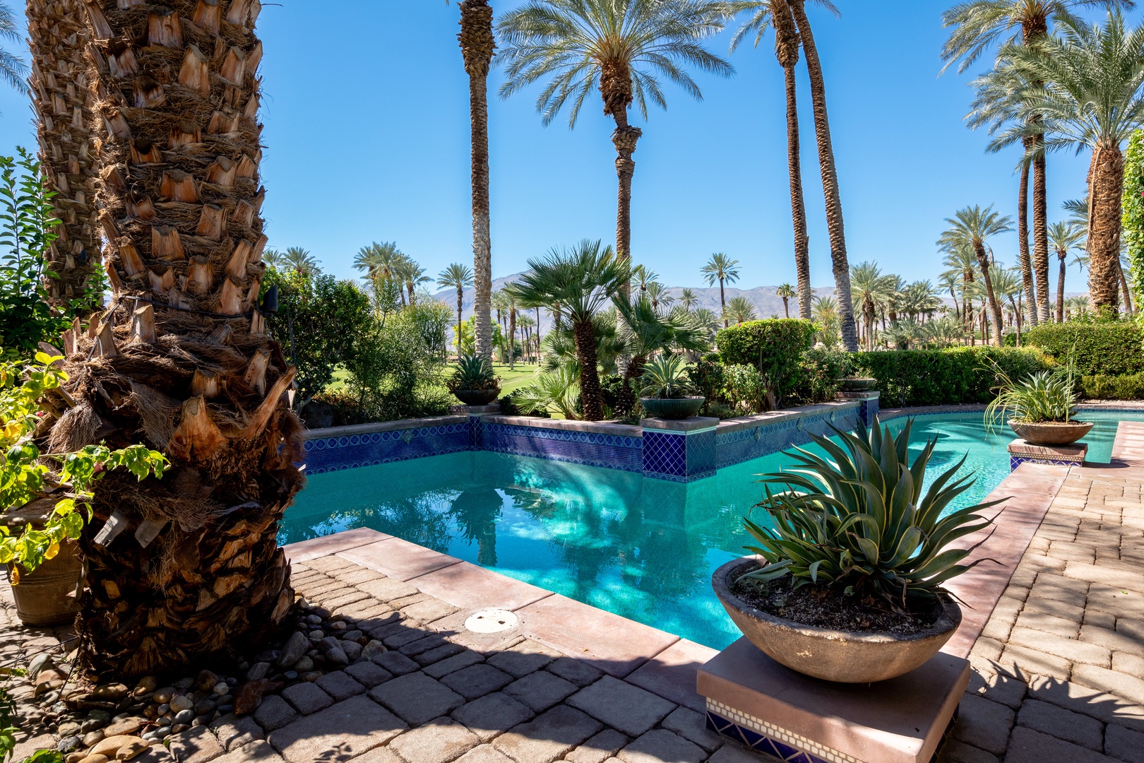 Backyard Oasis