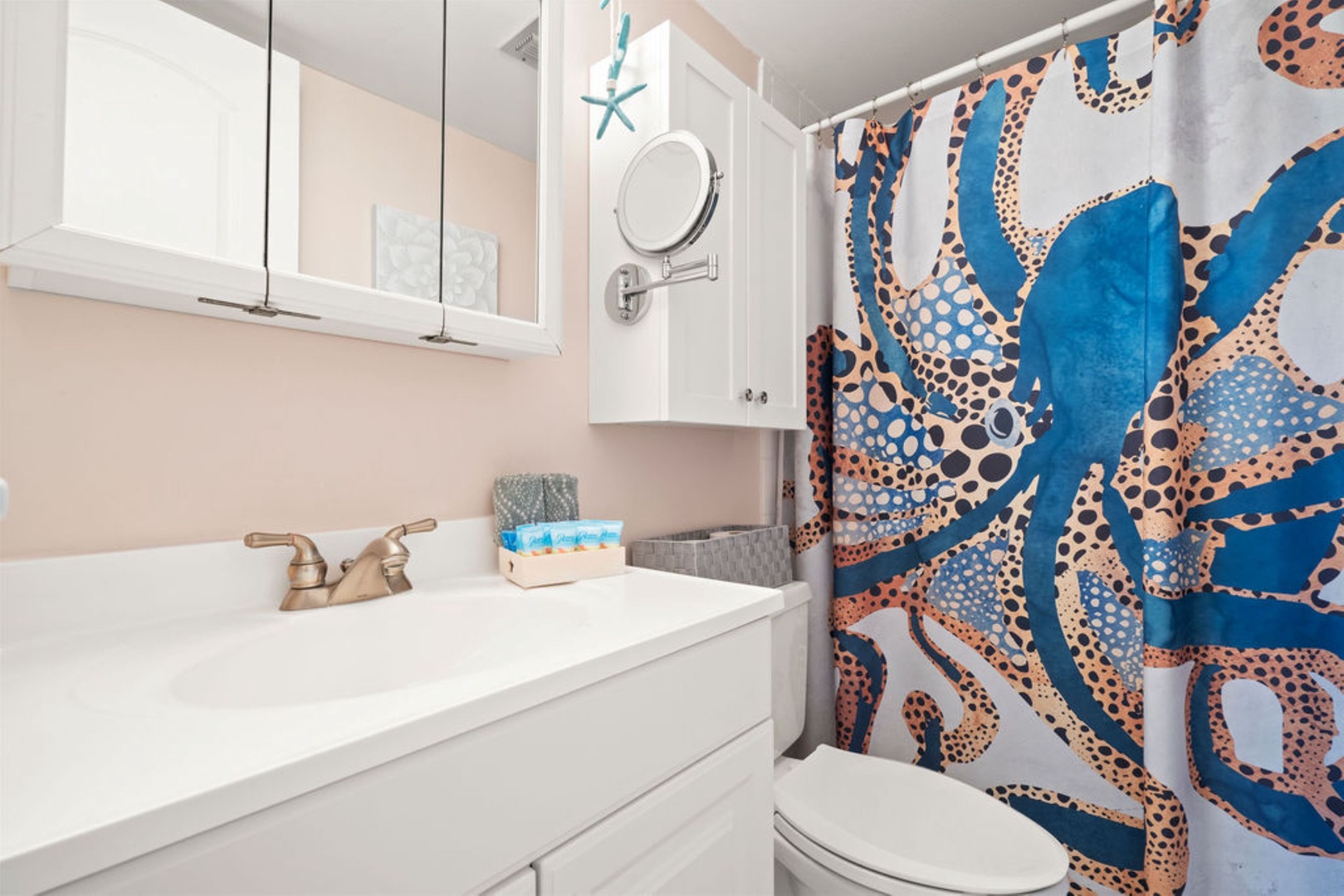 Ensuite bathroom with stand up shower