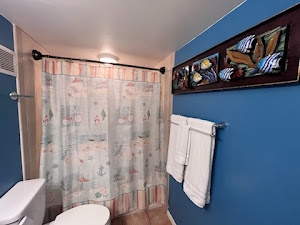 Bathroom 2 with shower/tub combo