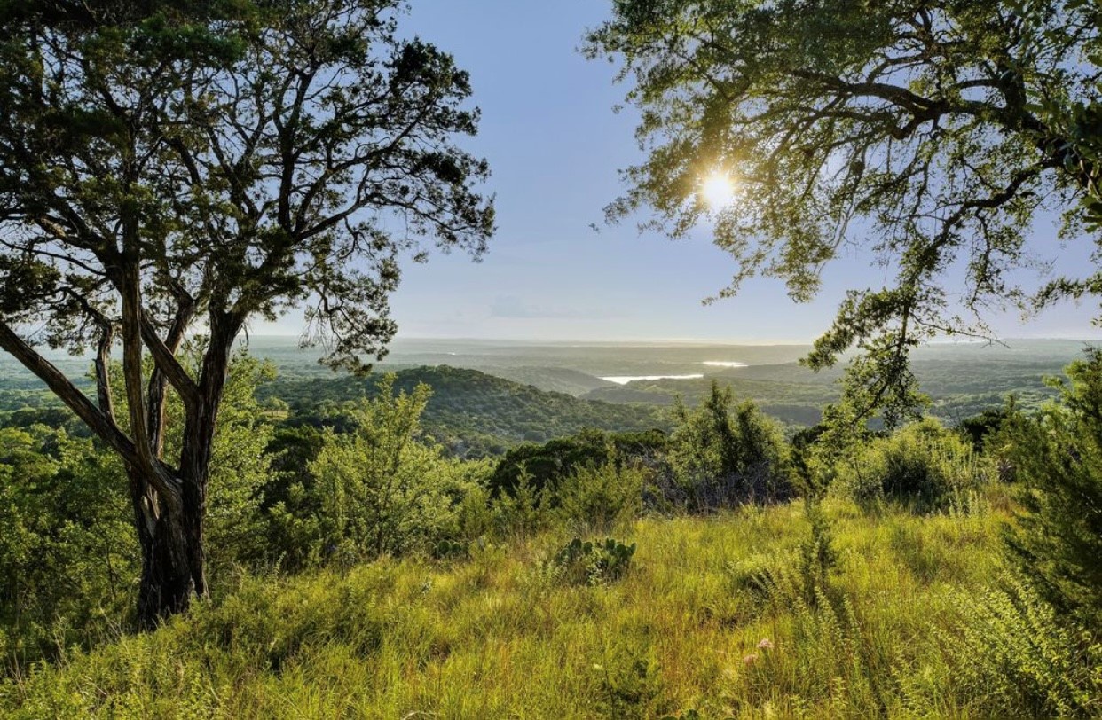 daytime lake view