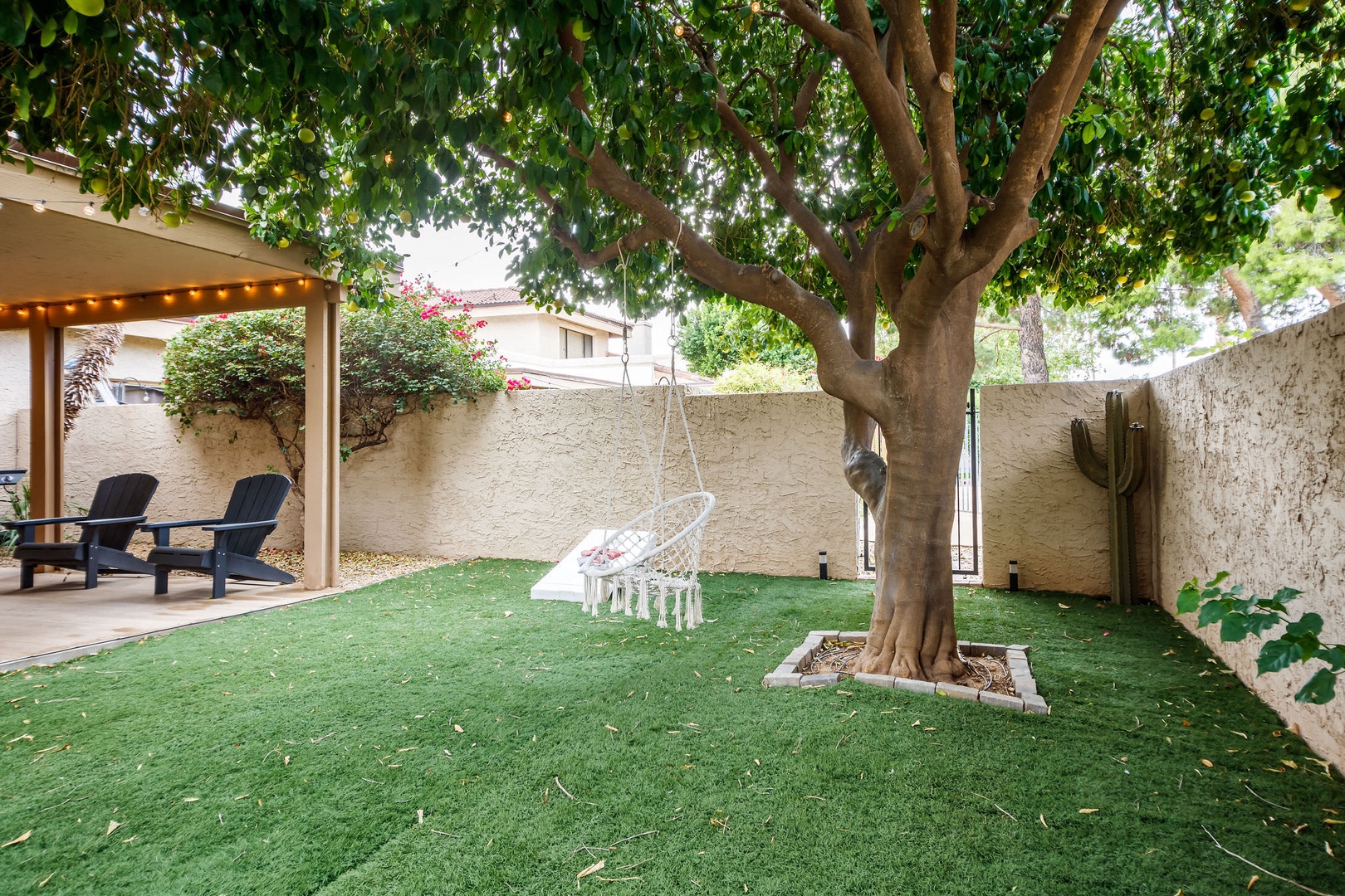 Backyard