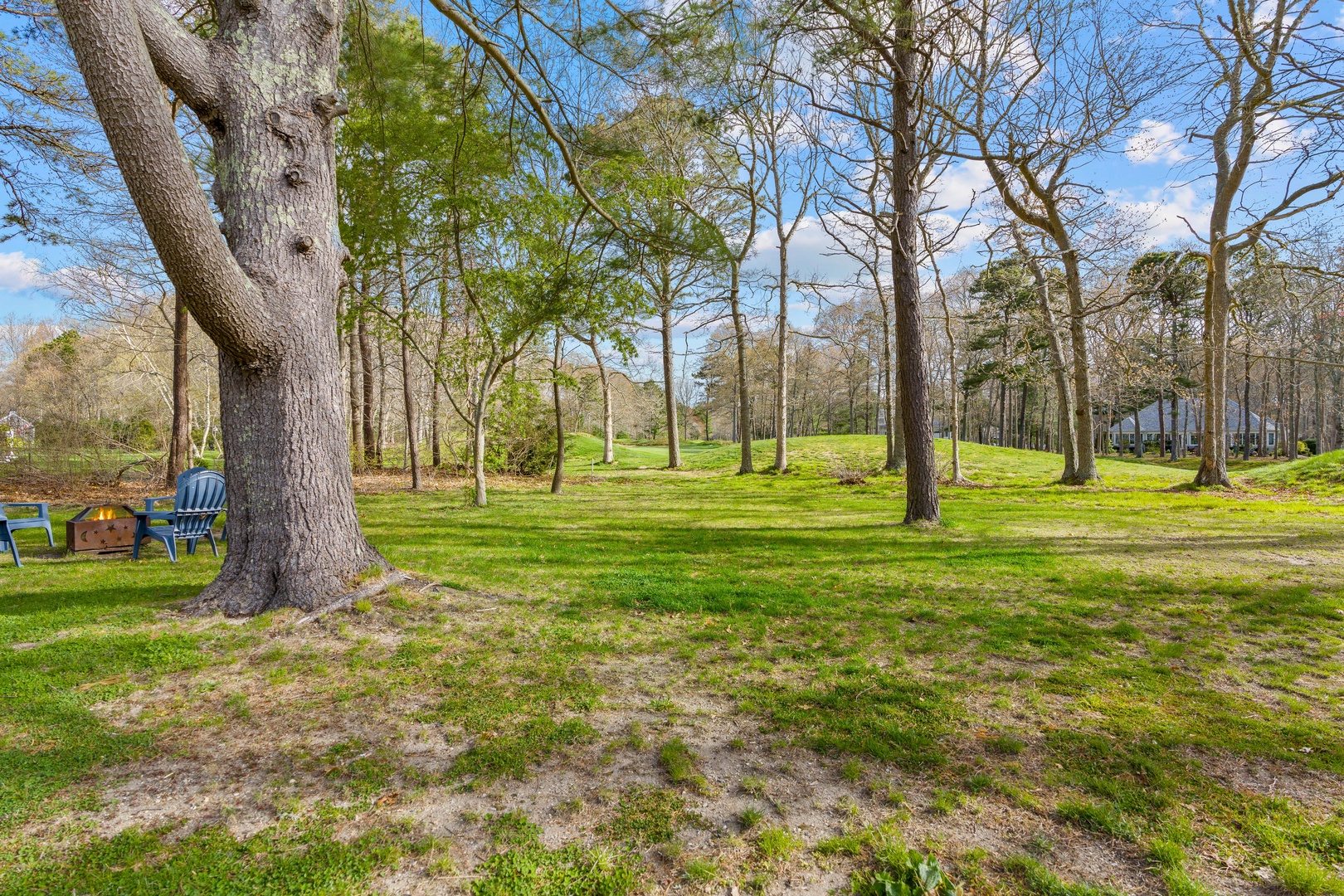 The large back yard offers ample space for relaxation & play