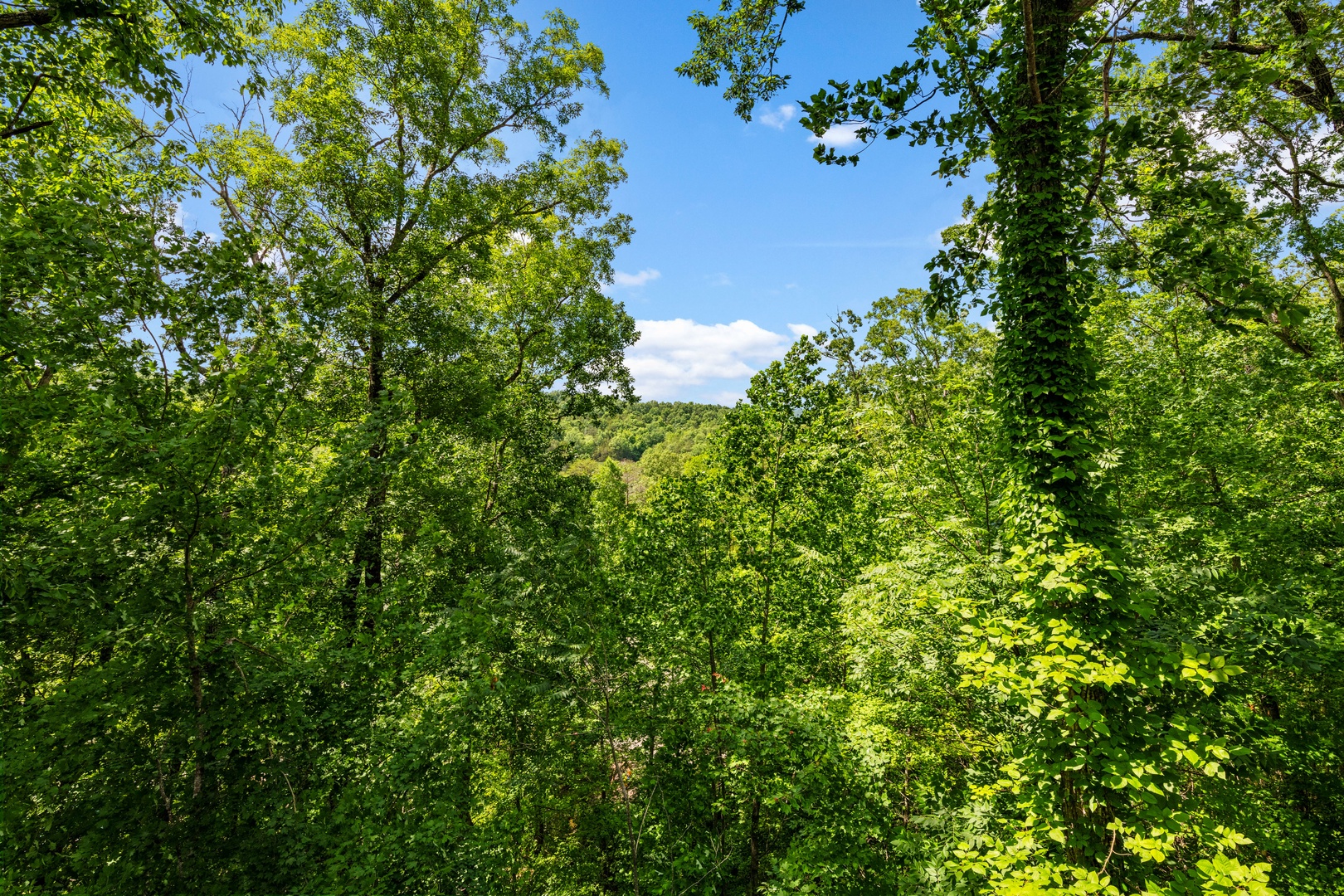 Little Lake Lookout-25