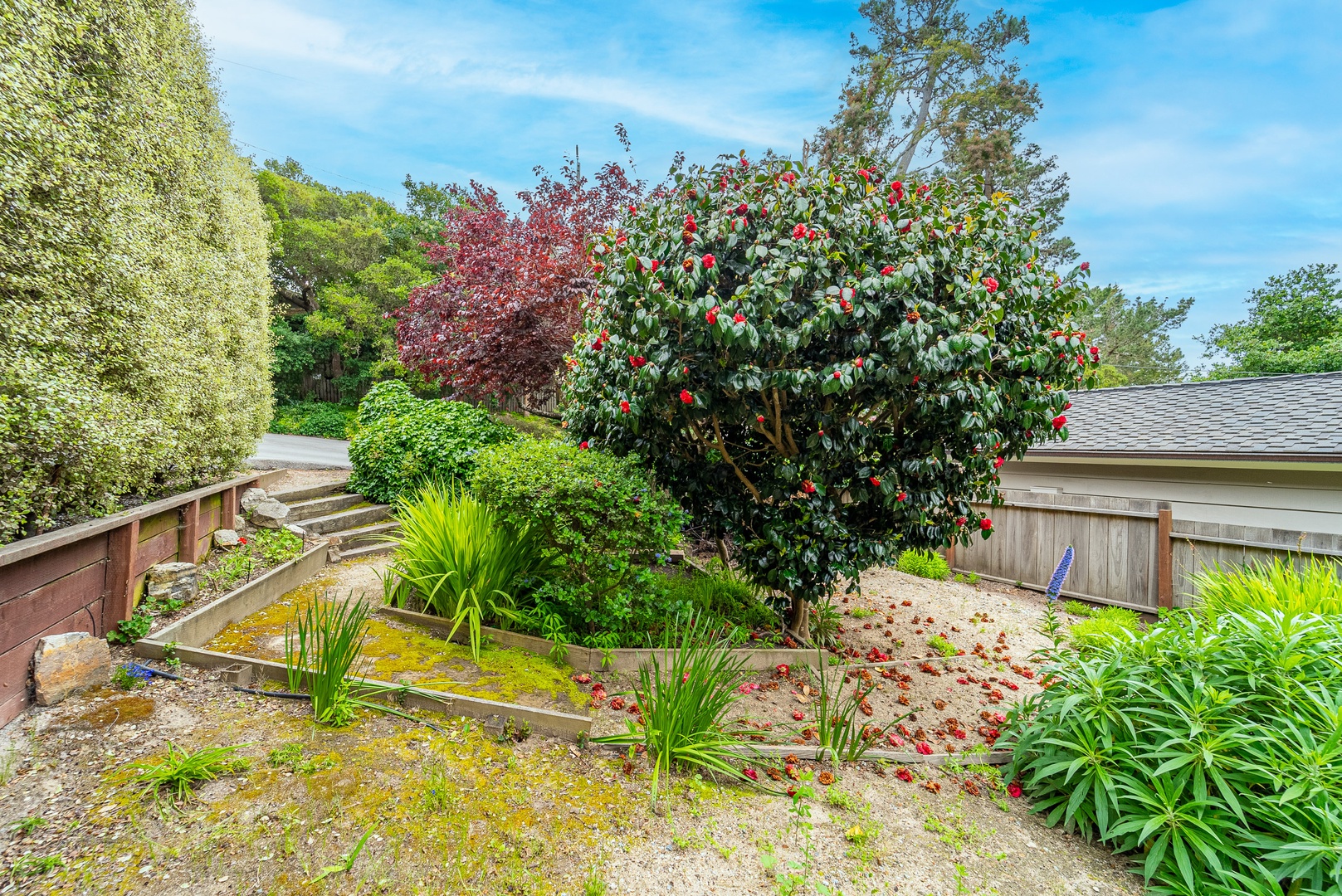 Front garden oasis