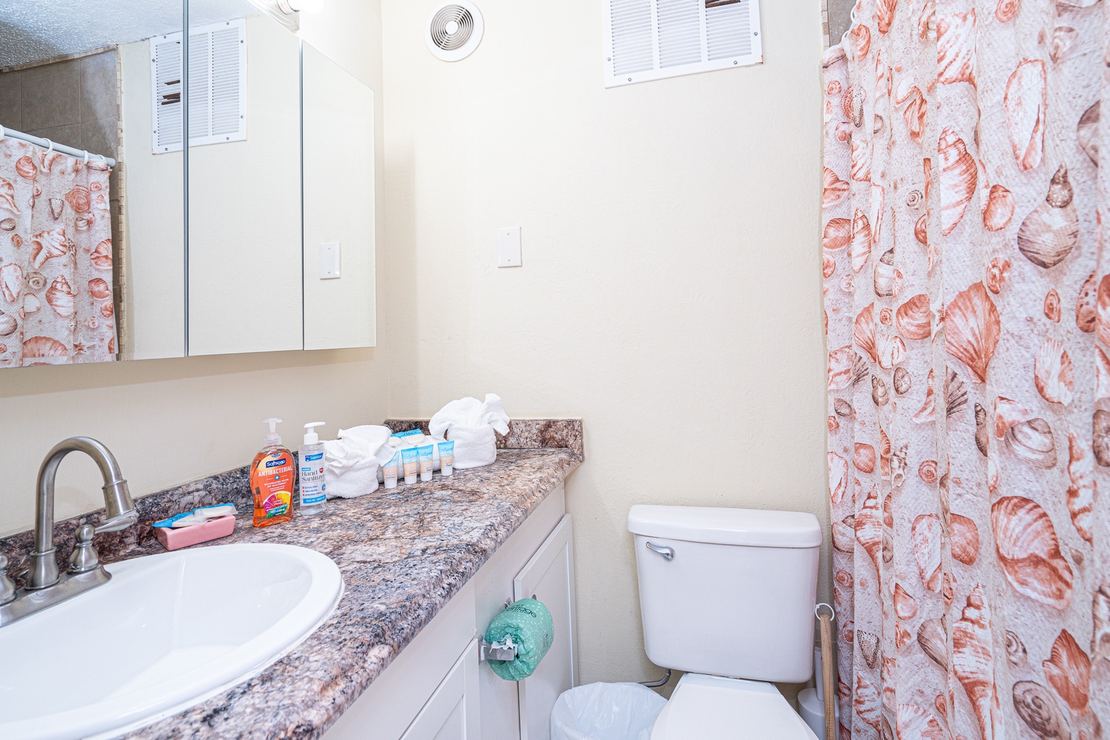 The full bathroom offers a large vanity & walk-in shower