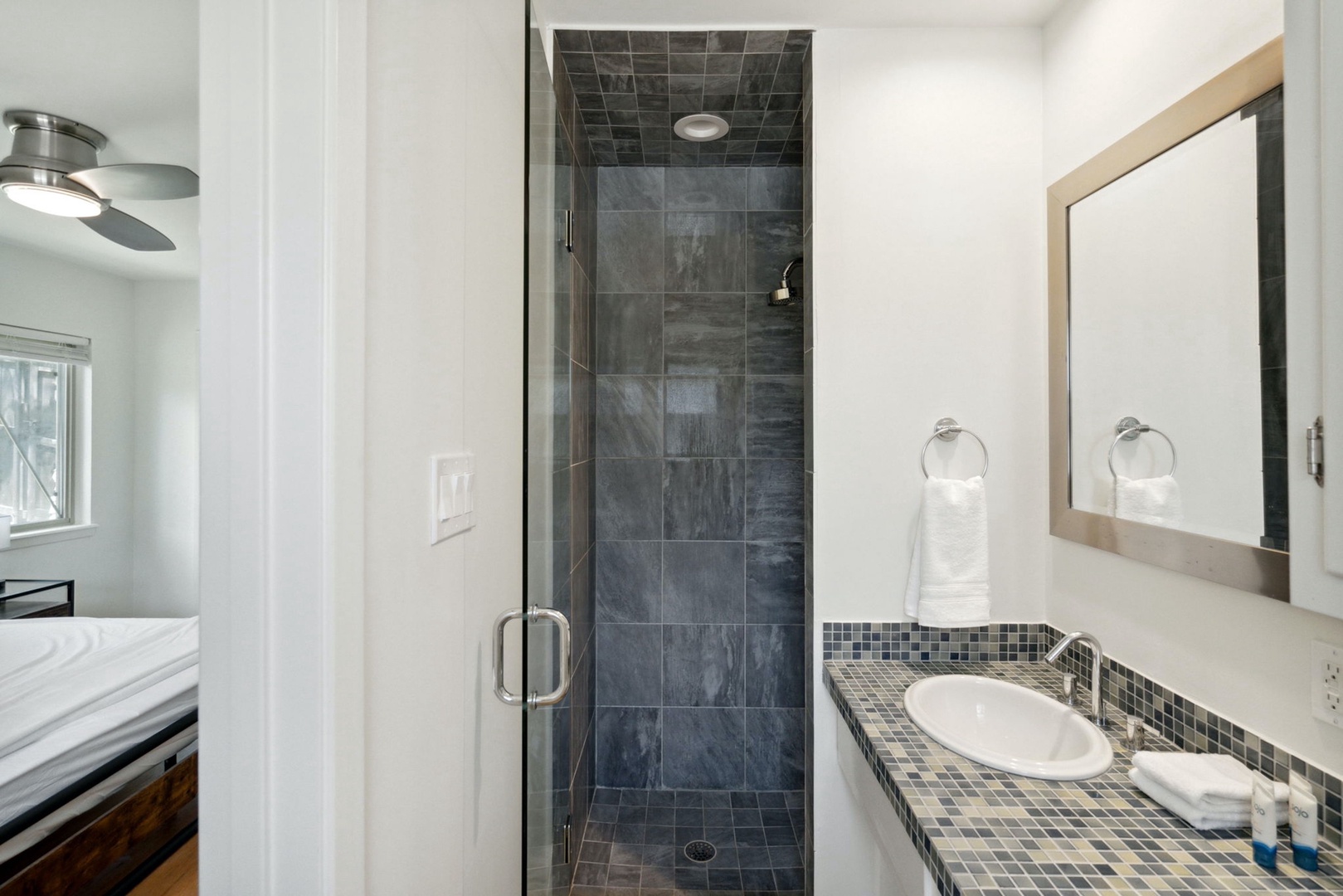 Ensuite with stand-up shower