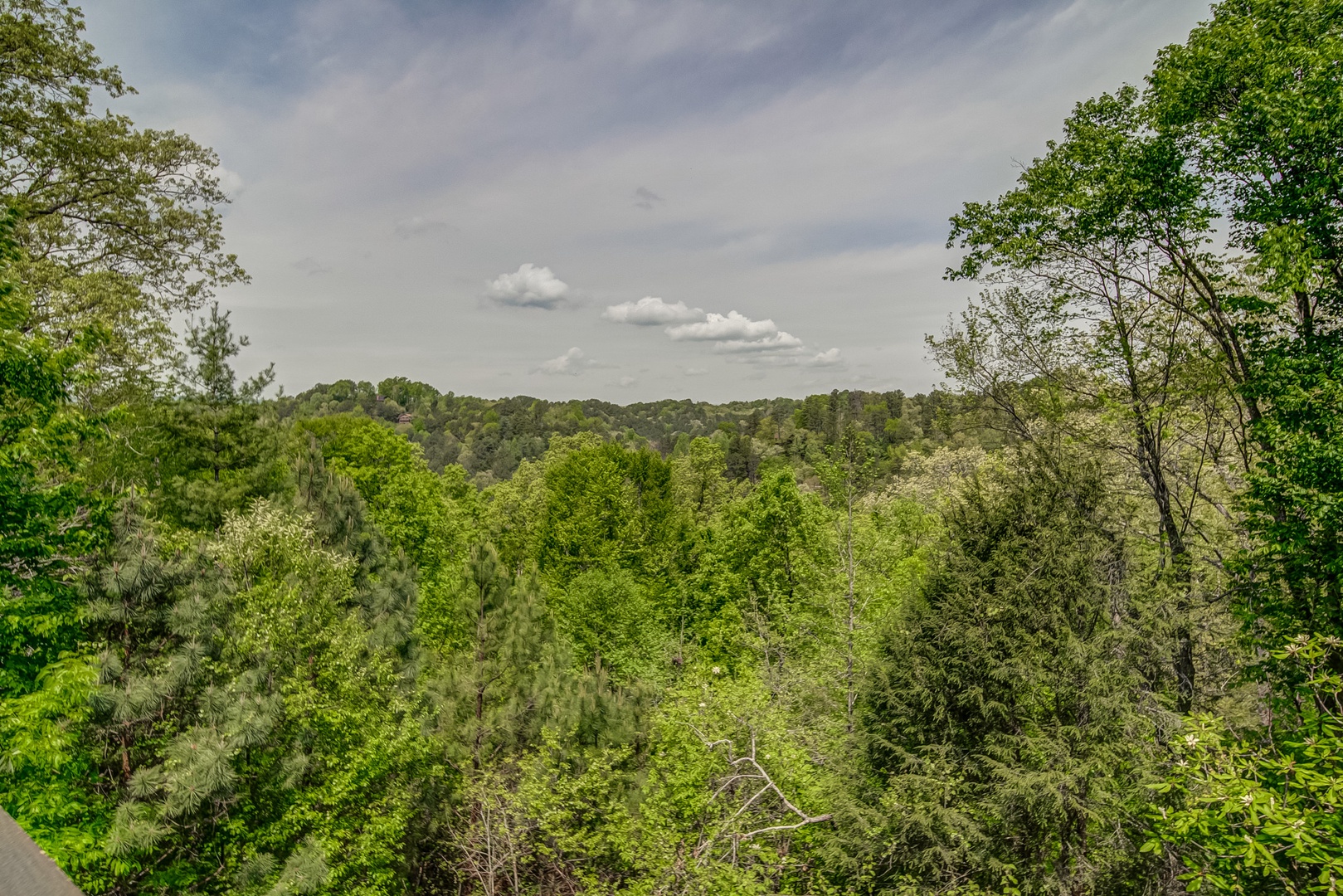 You incredible Ellijay Views