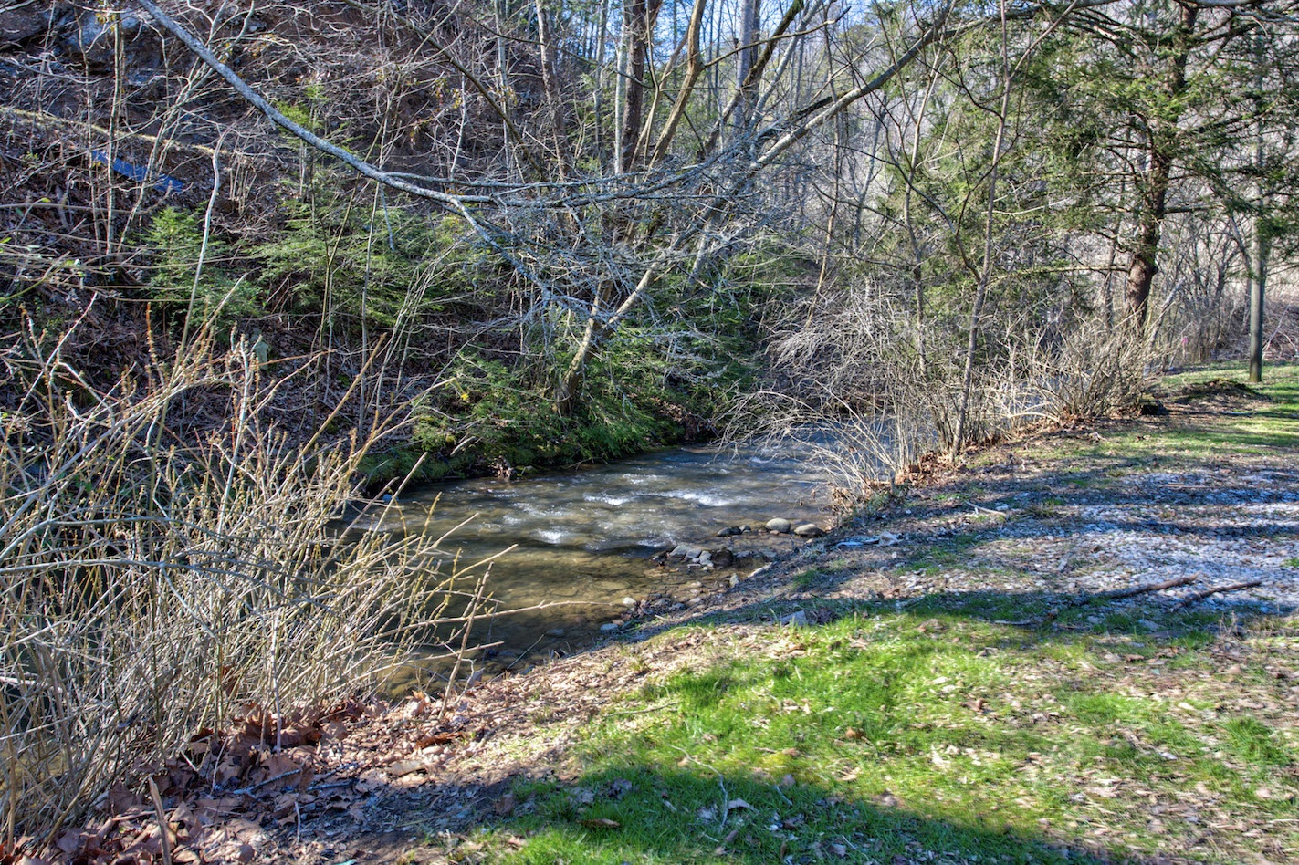 Indulge in a leisurely afternoon stroll beside the stream