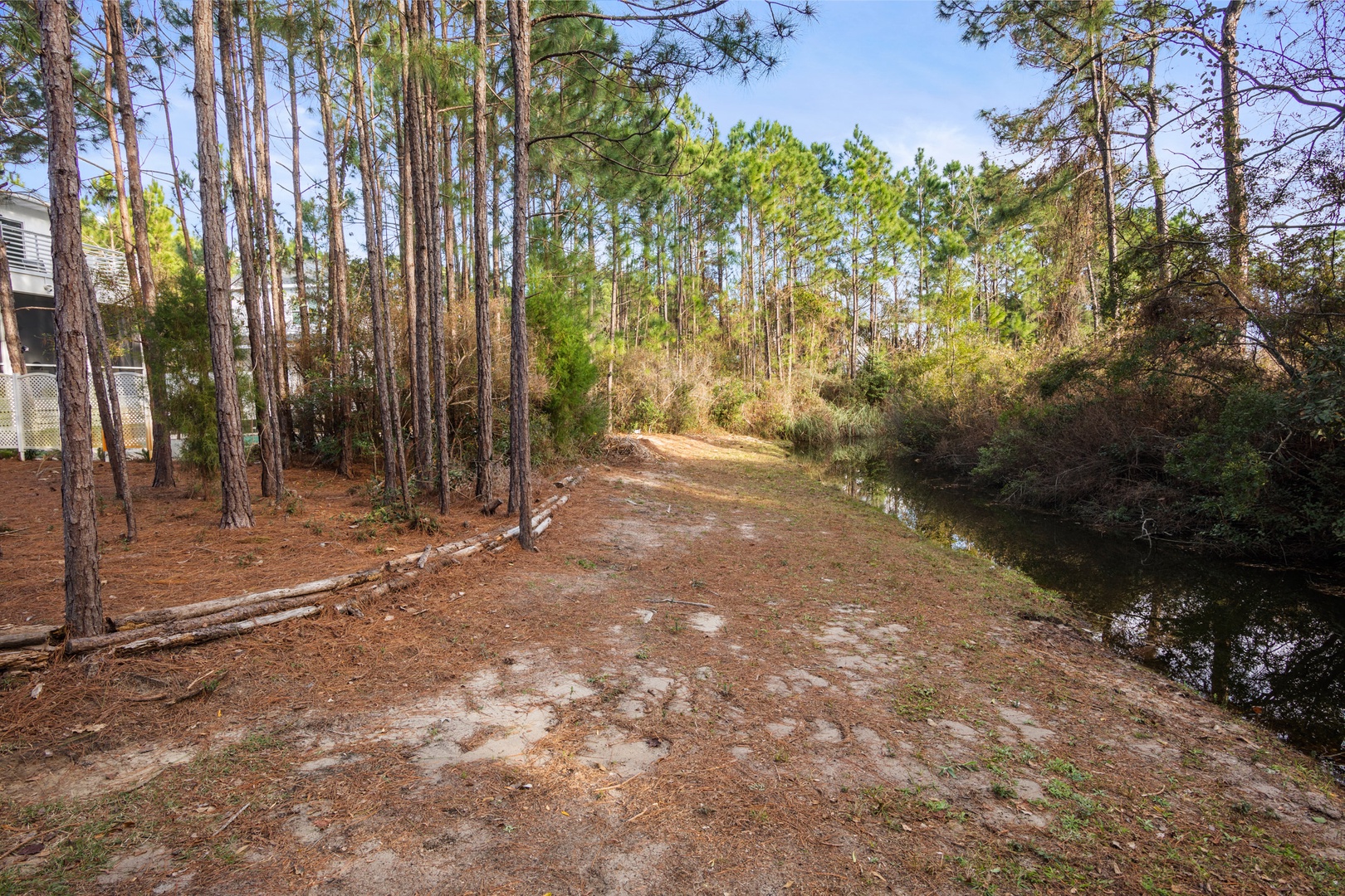 Take a walk in the backyard trail