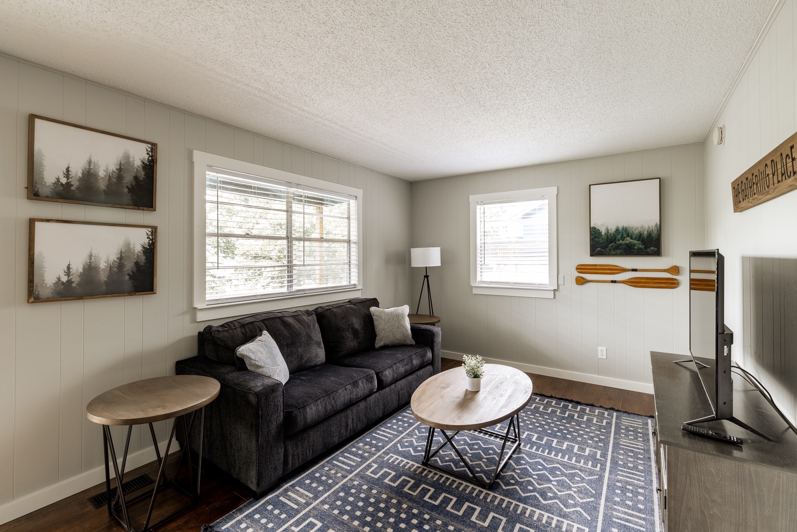 Living Room Queen Sofa Bed