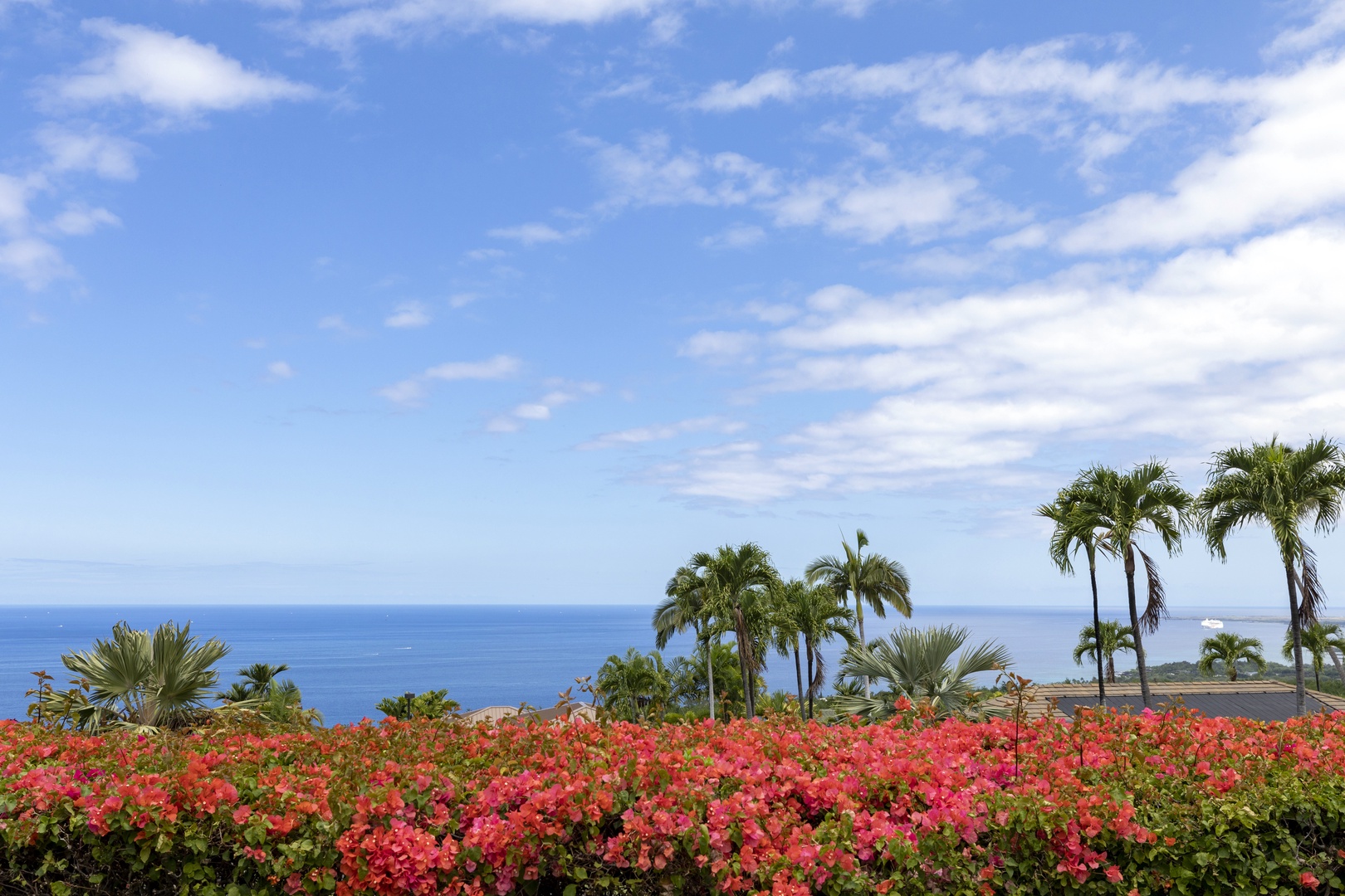 Enjoy serenity and ocean views from the backyard