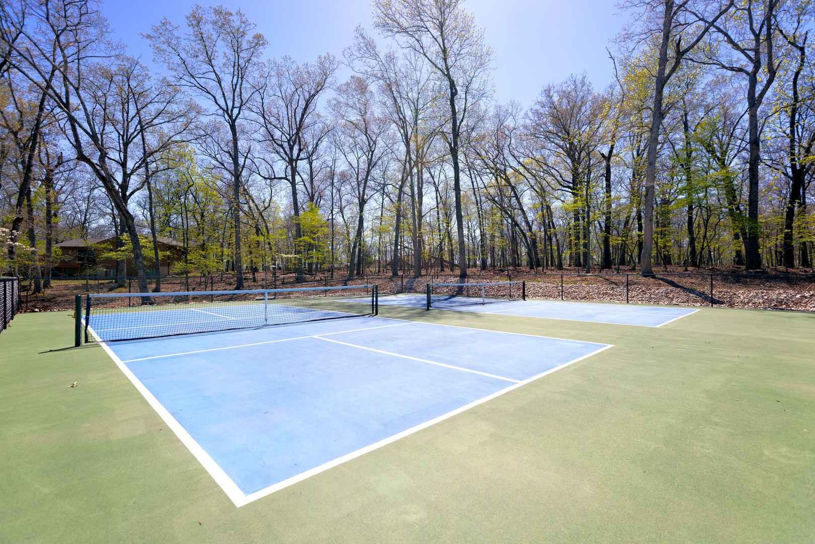 Game on! Pickleball paradise awaits on the courts