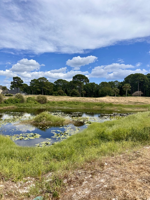 At Paradise Park enjoy paved walking paths with a lake view