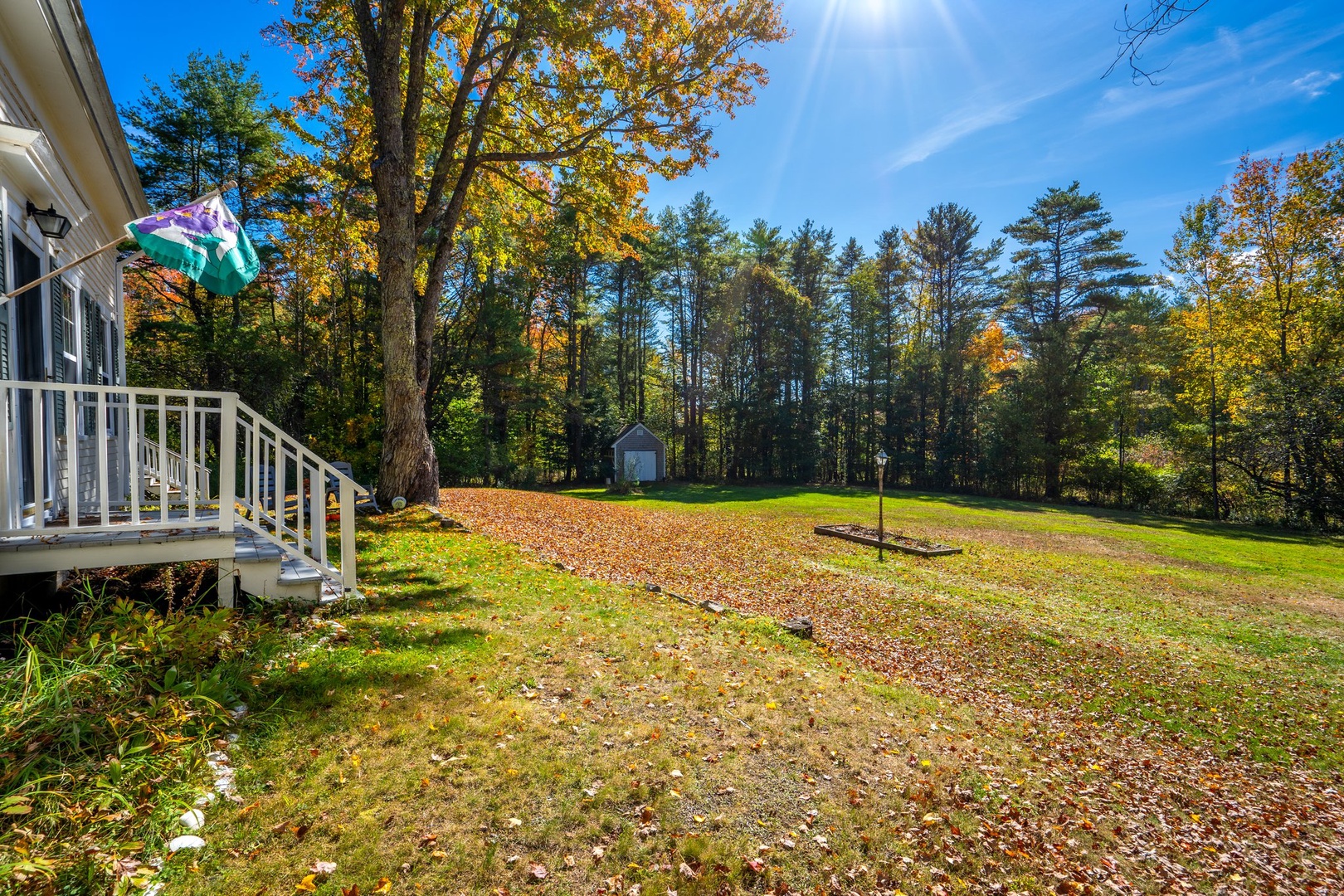 Spacious back yard