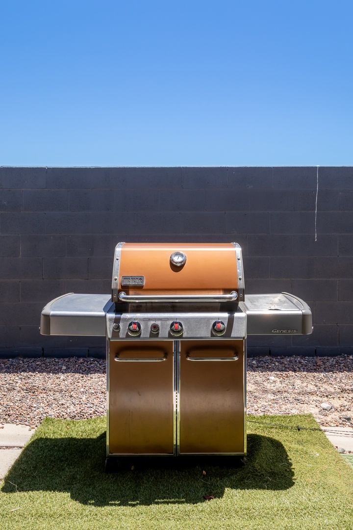 Gas grill for your BBQ needs