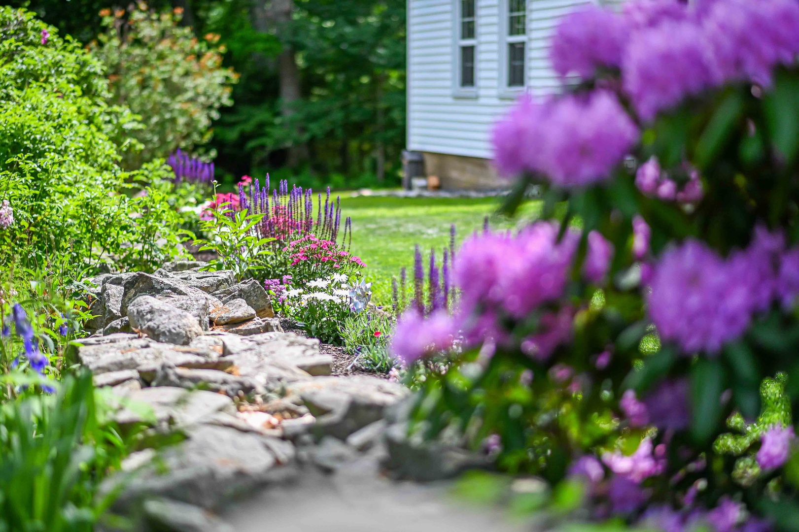 Enjoy the flowers in the yard.