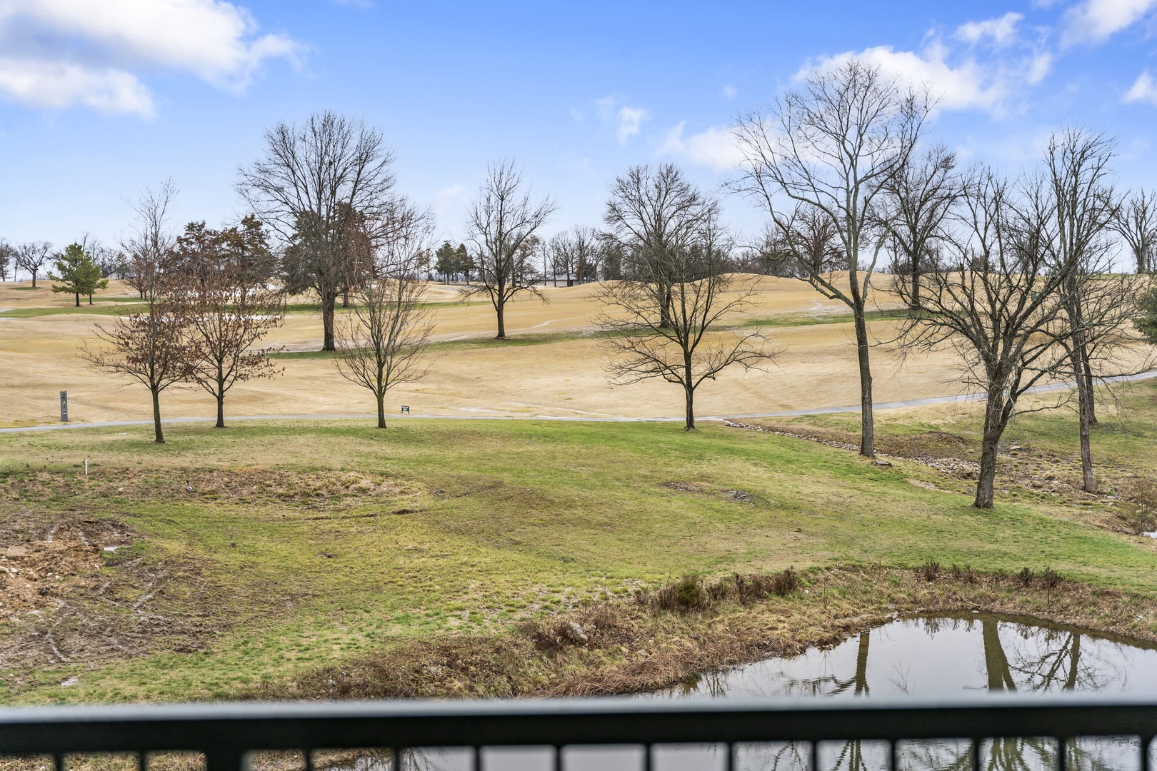 Panoramic views from the terrace