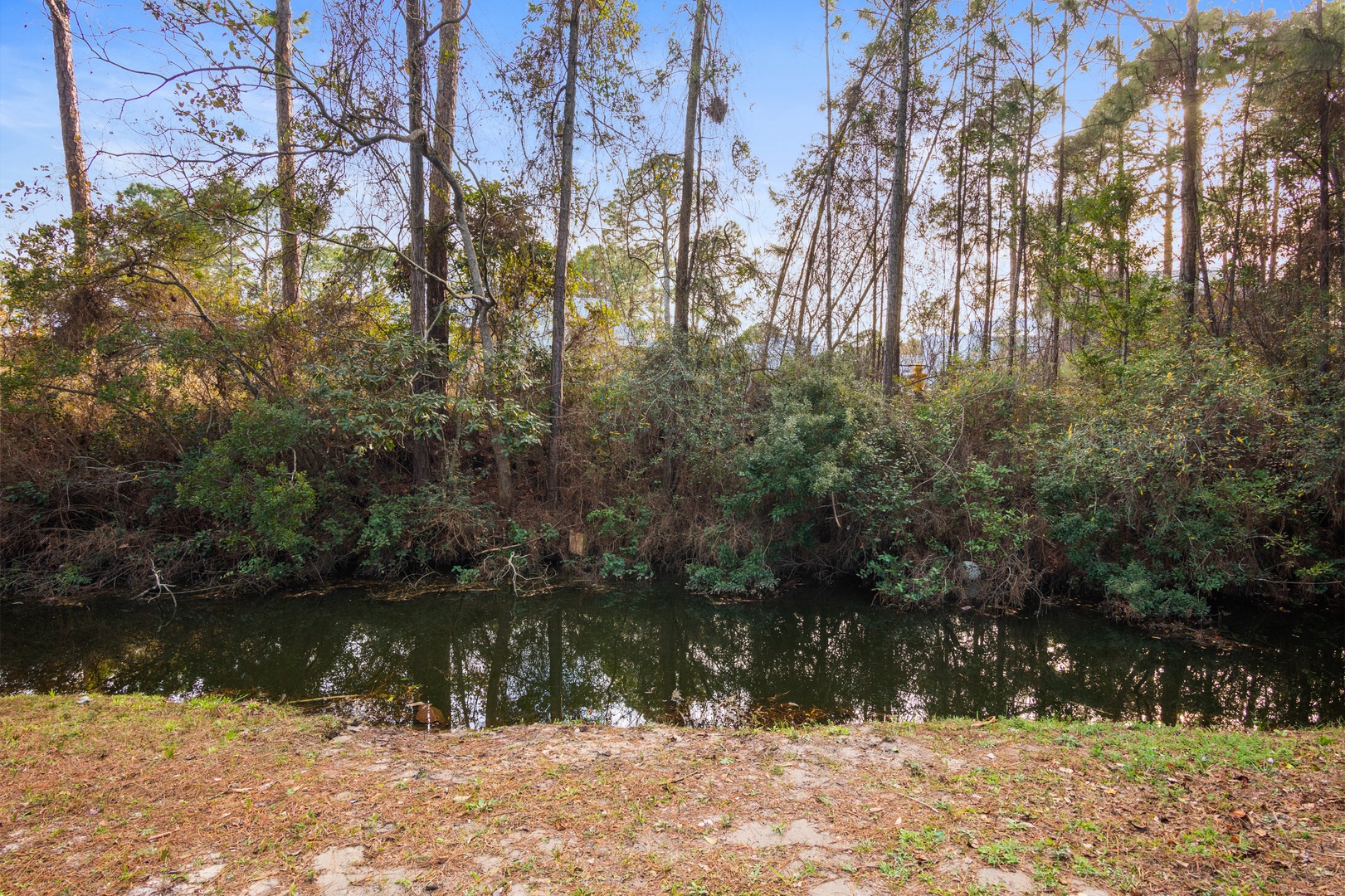 A nearby pond