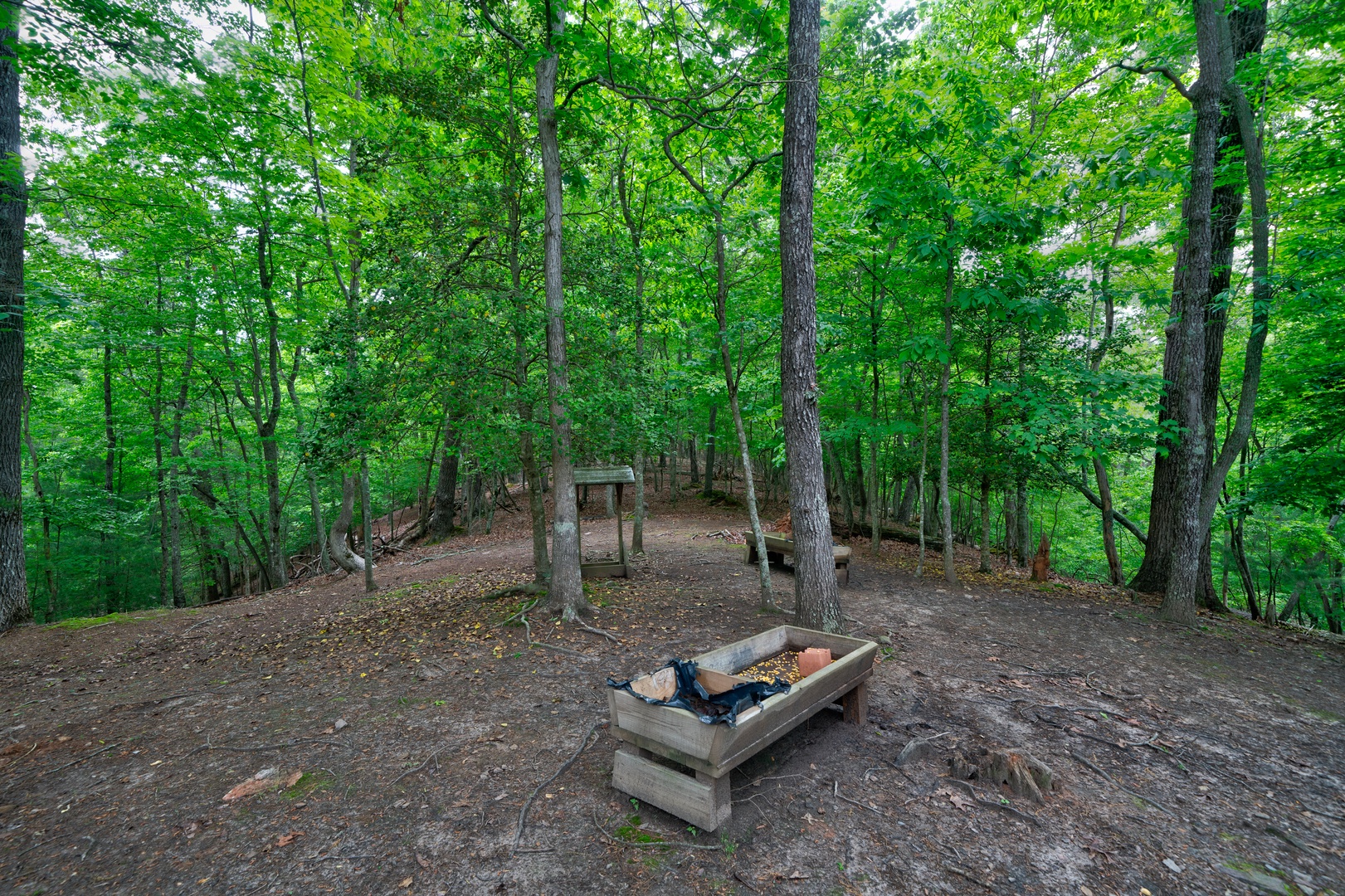 The deck offers plenty of room for everyone to watch the deer at the feeders