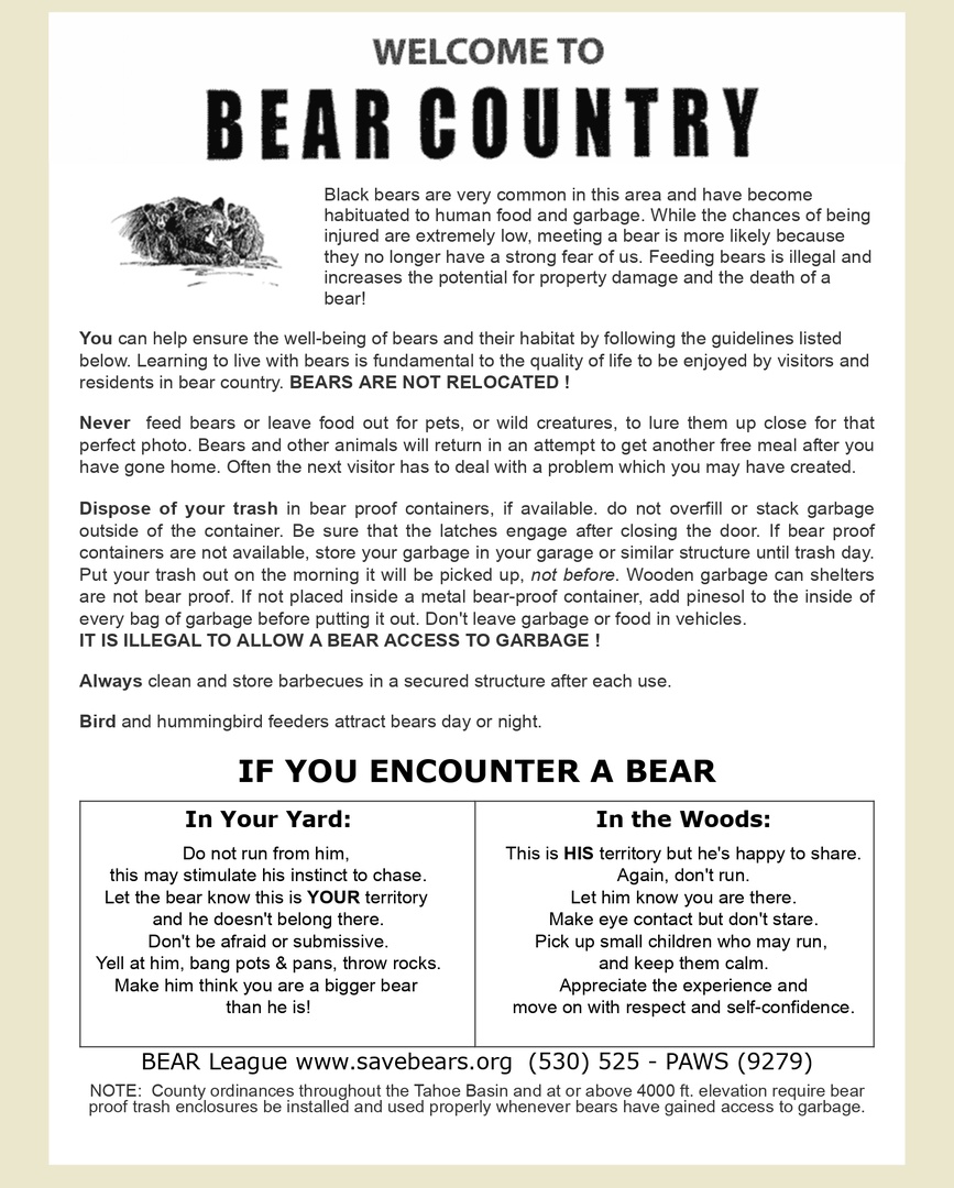 Bear Info