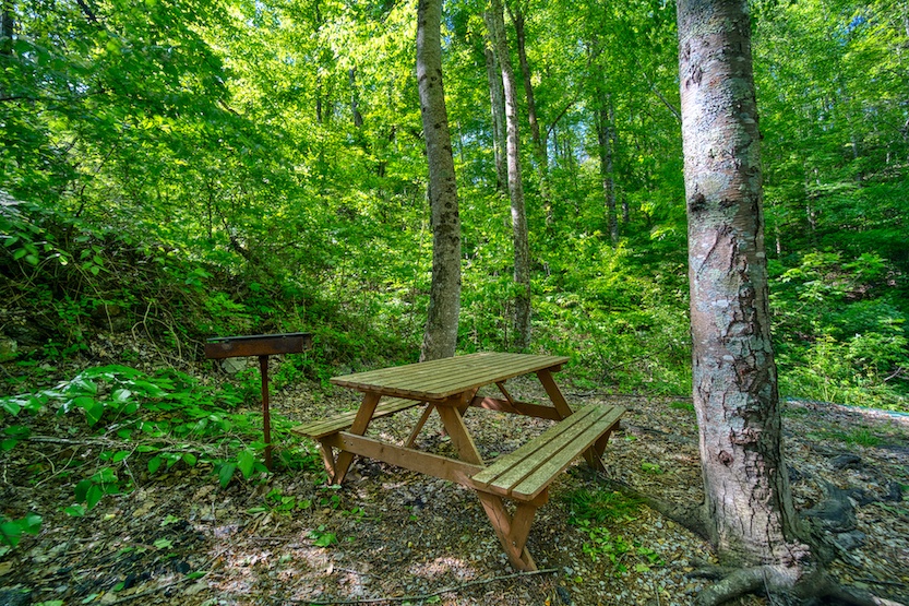 Swap stories or enjoy dining alfresco under the trees at the picnic table