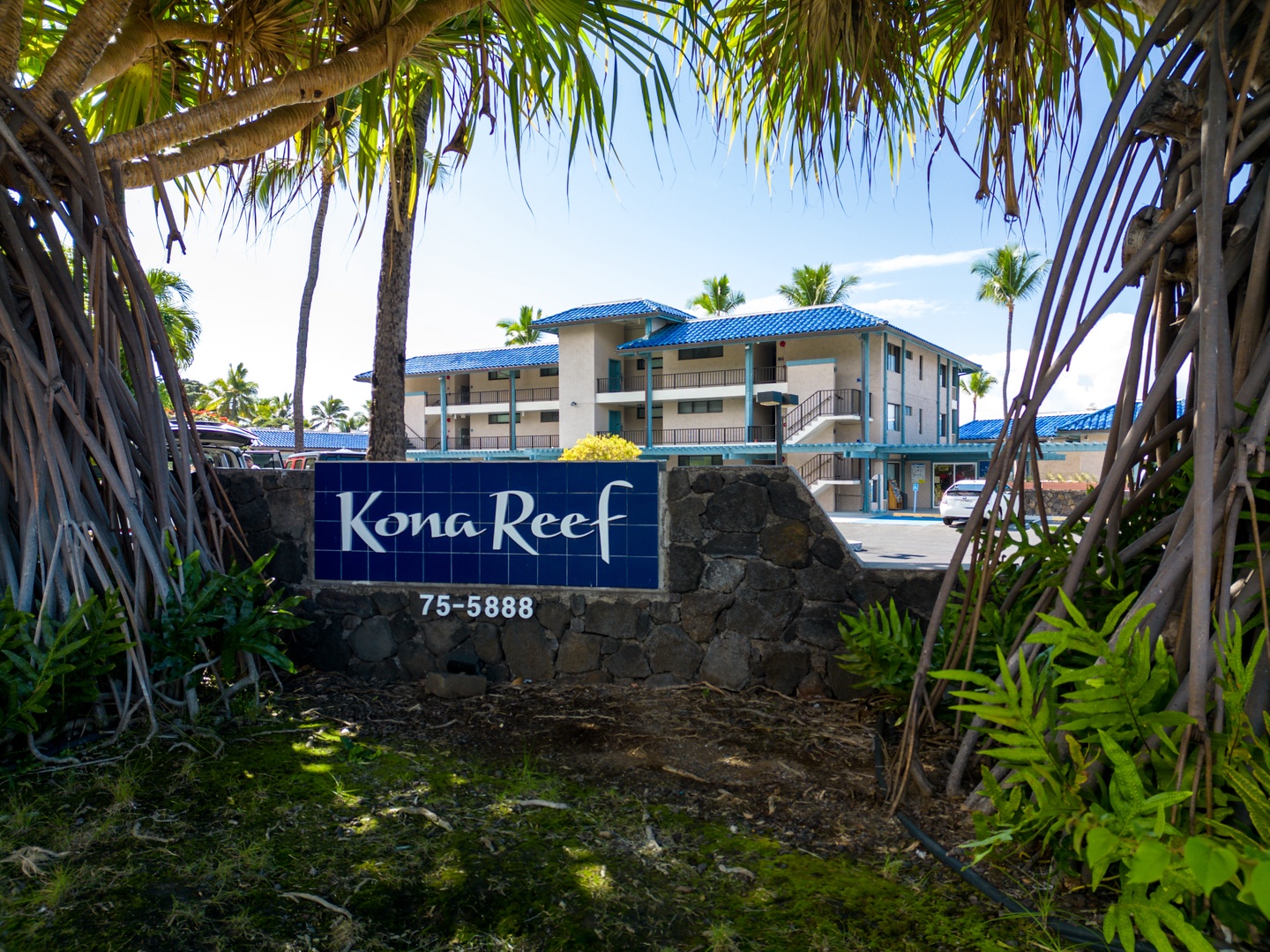 Kona Reef