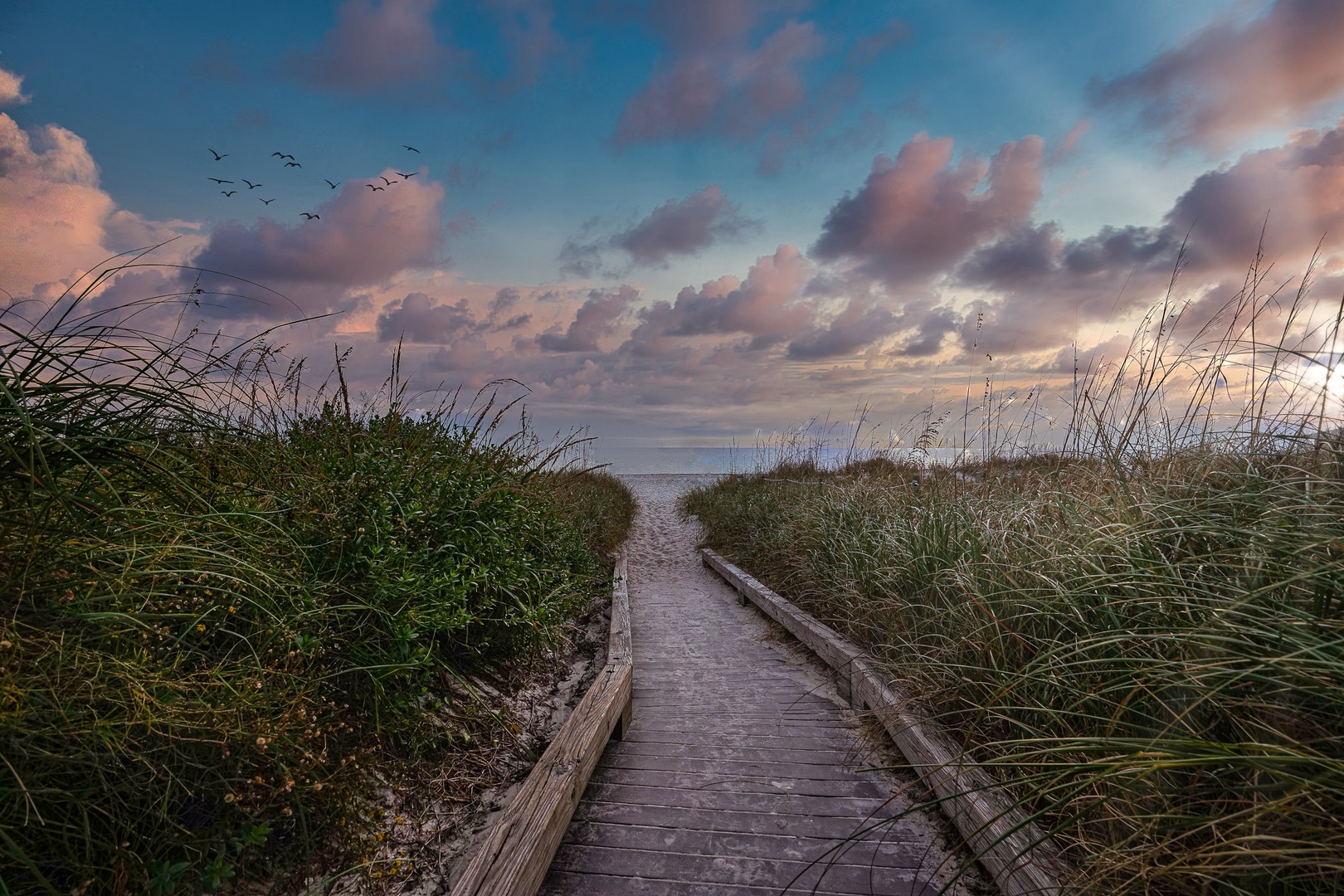 Pathway to the beach