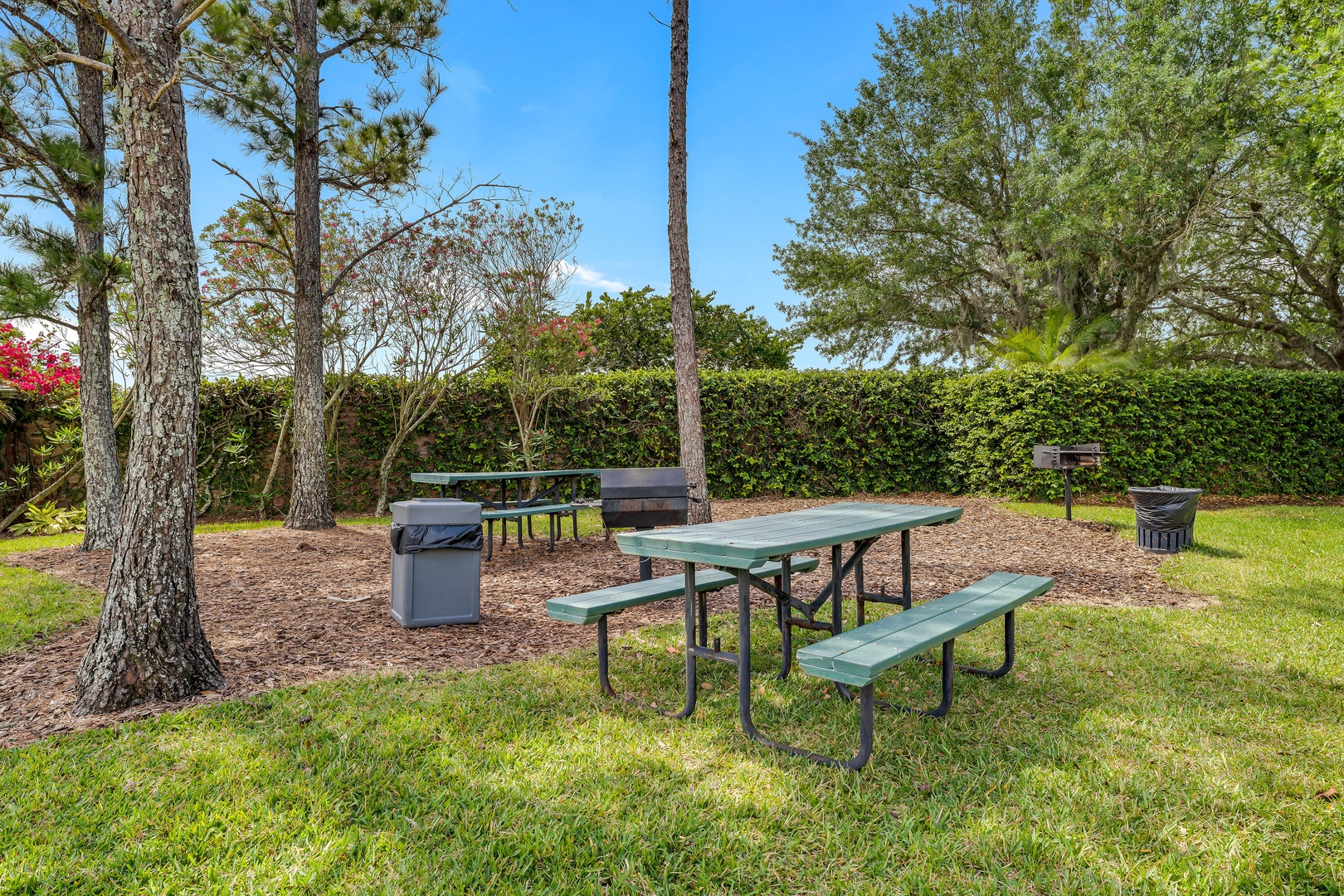 Grab a picnic table & relax in the sunshine while you grill up a feast!