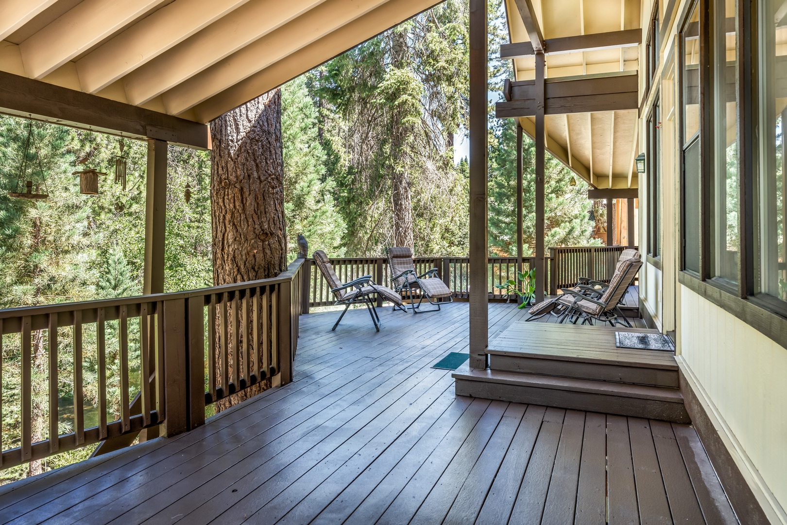 Enjoy relaxing in the tree tops on the fabulous back porch and deck!