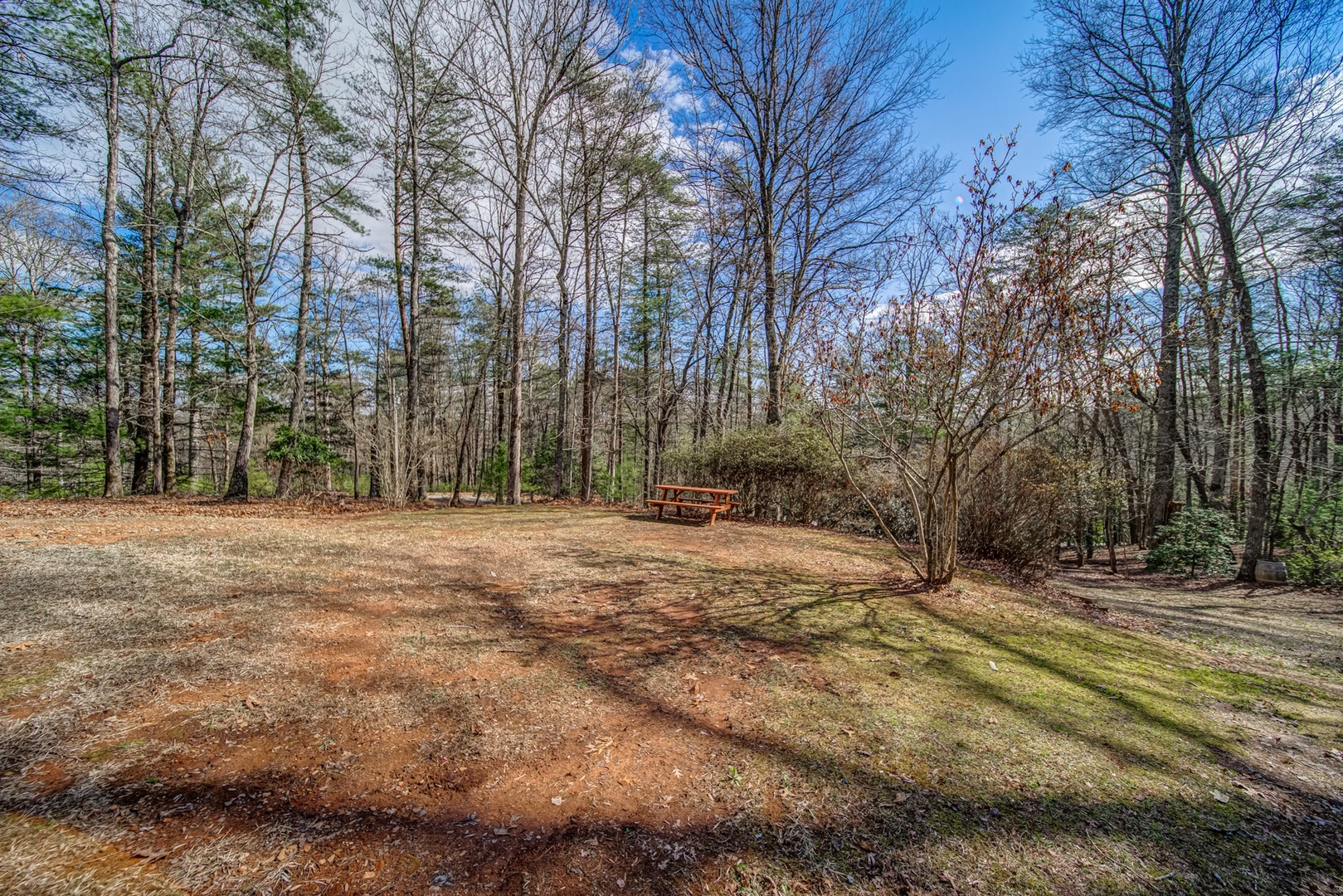 Enjoy al fresco dining in the expansive yard on this home’s picnic table