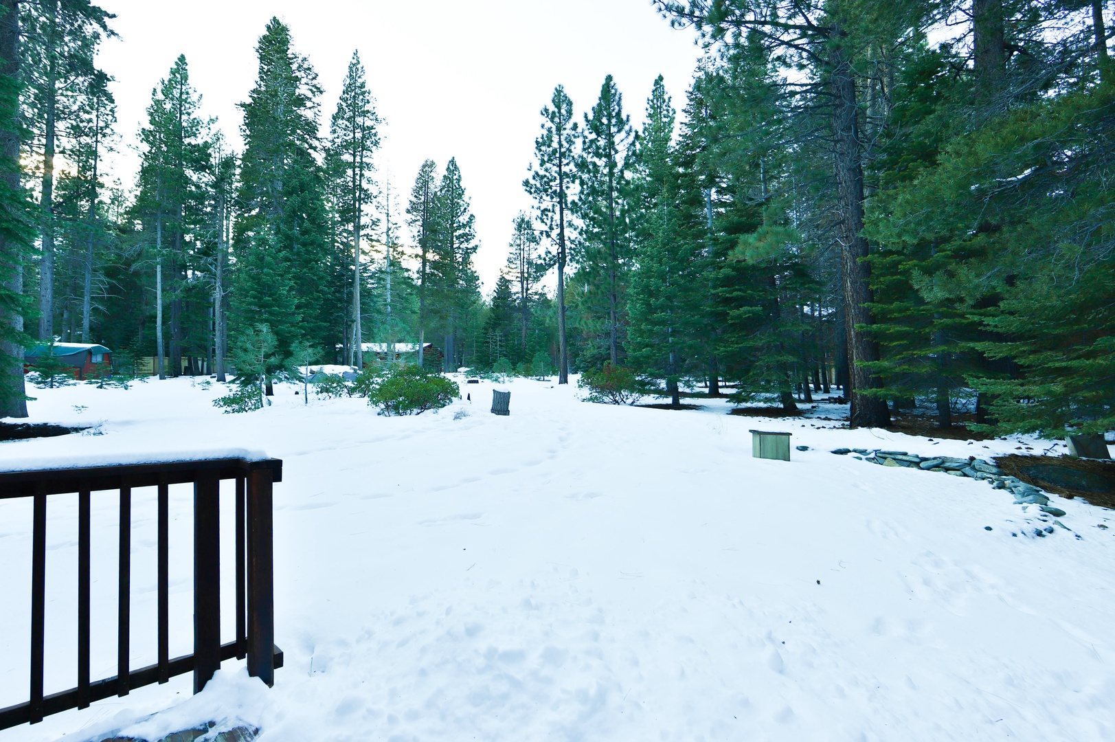 Winter day views at Mystic Pines!