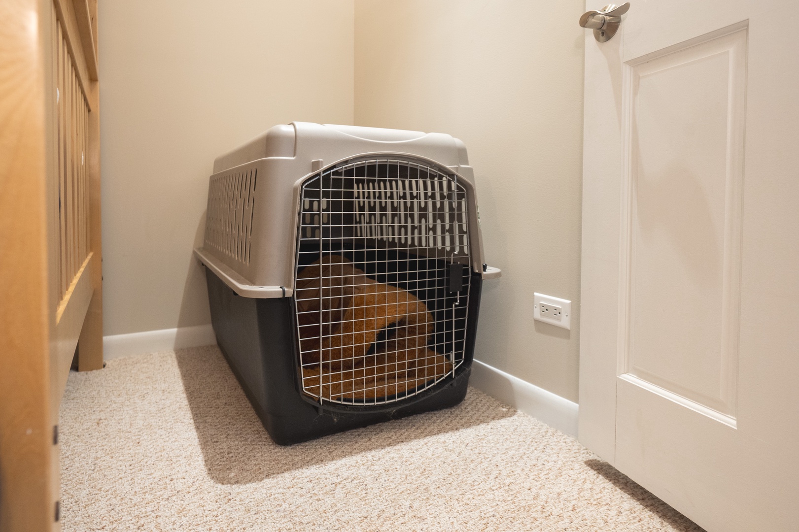 Accommodations are available even for the furbabies!