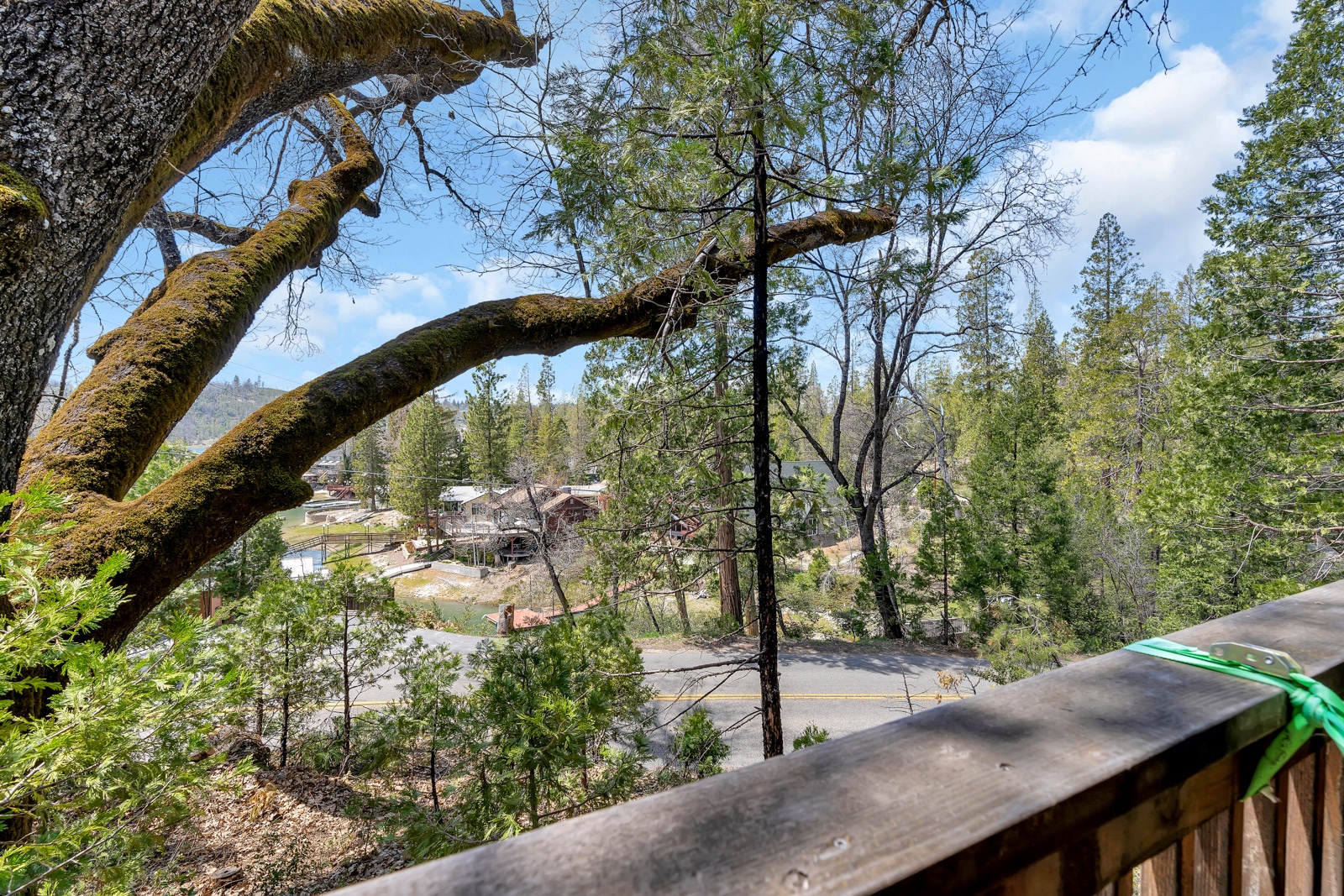 Enjoy the treehouse-like views from the upper & lower decks